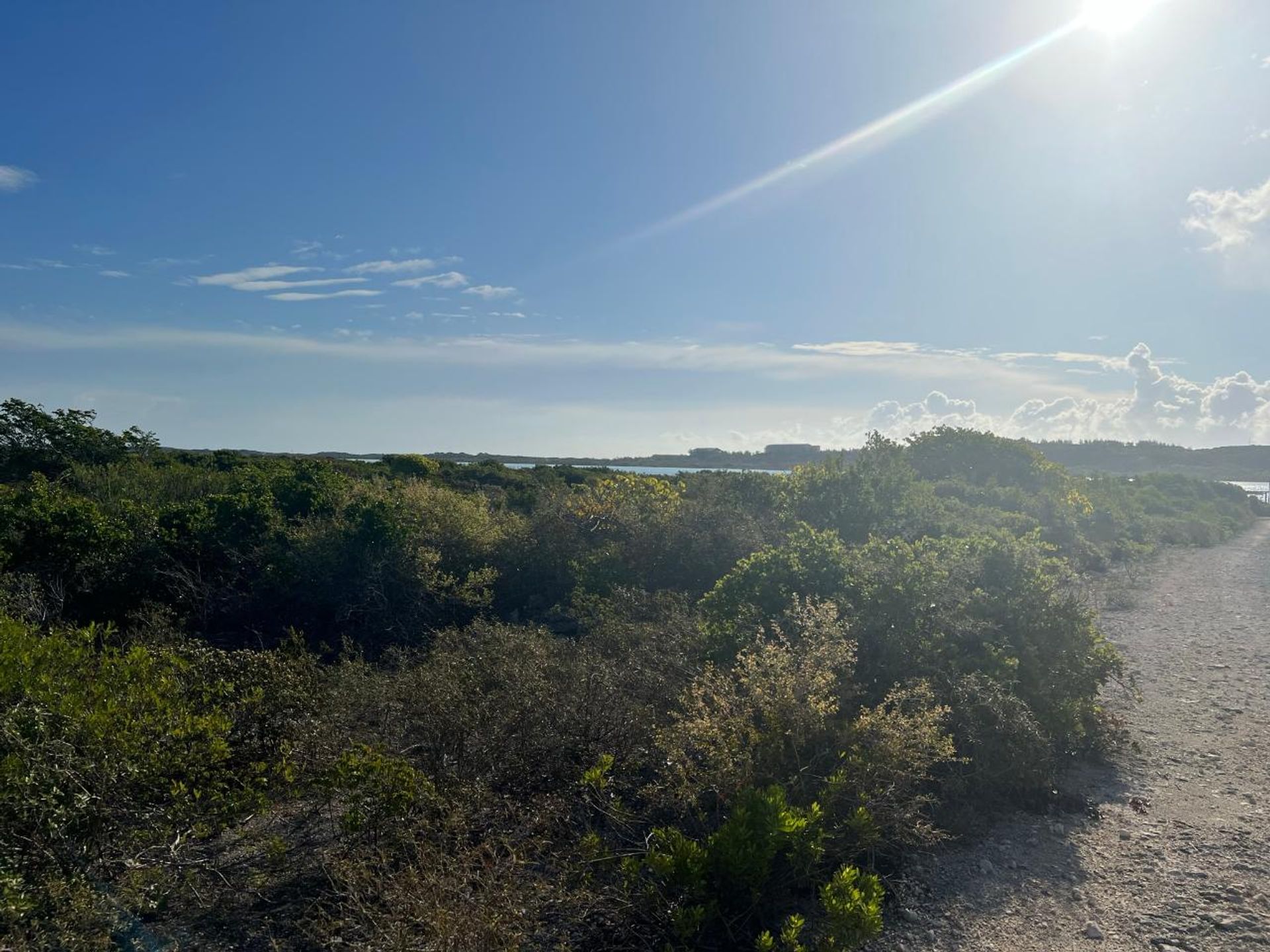 Wylądować w , Caicos Islands 12422851