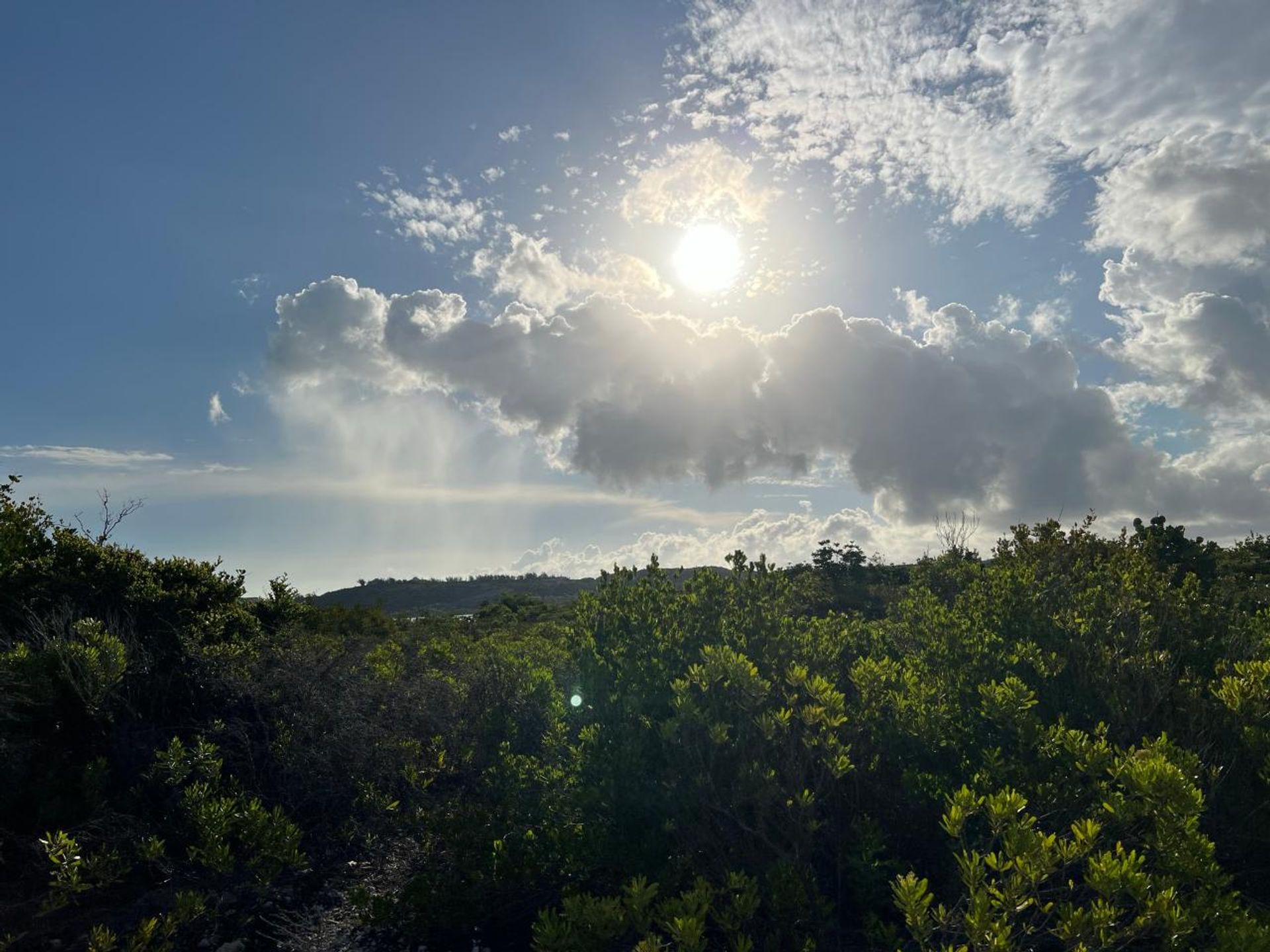 Γη σε , Caicos Islands 12422851