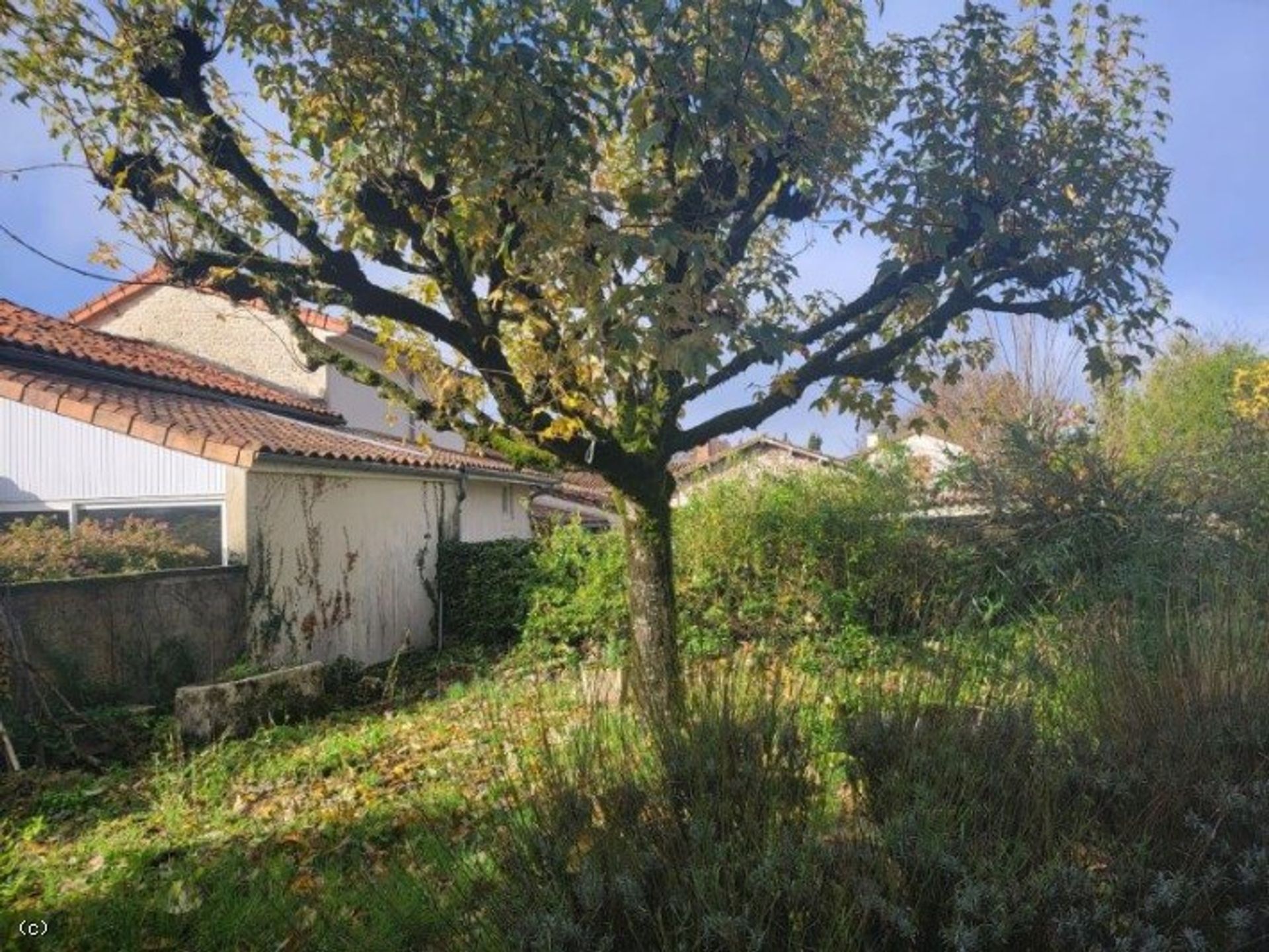 rumah dalam Ruffec, Nouvelle-Aquitaine 12424085