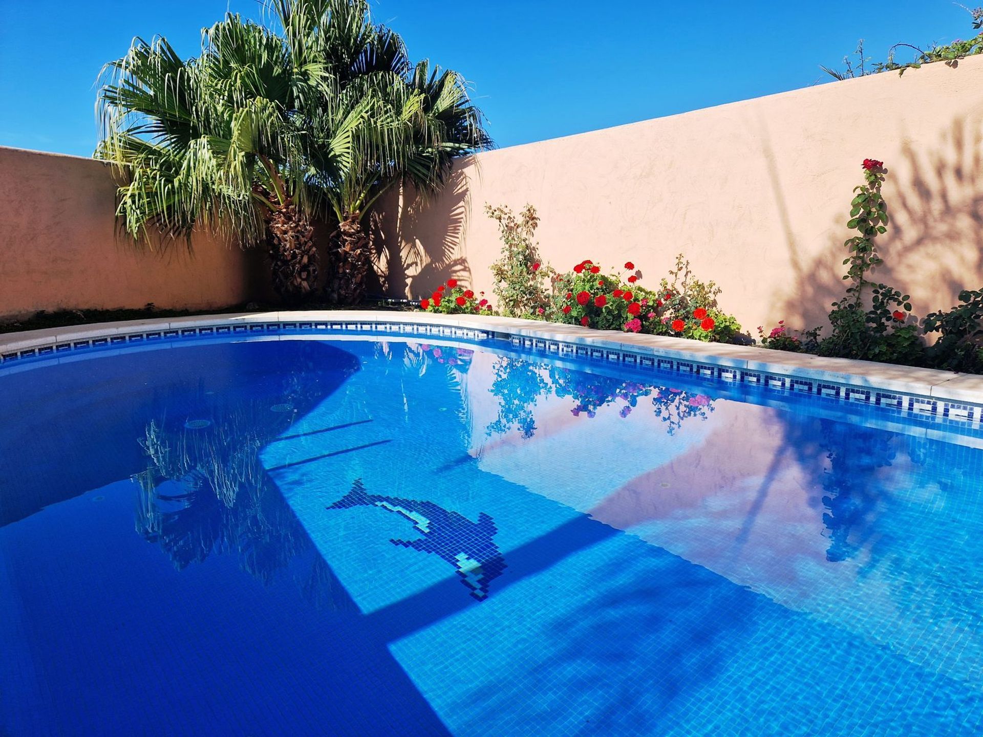 casa en Ojén, Andalusia 12424128