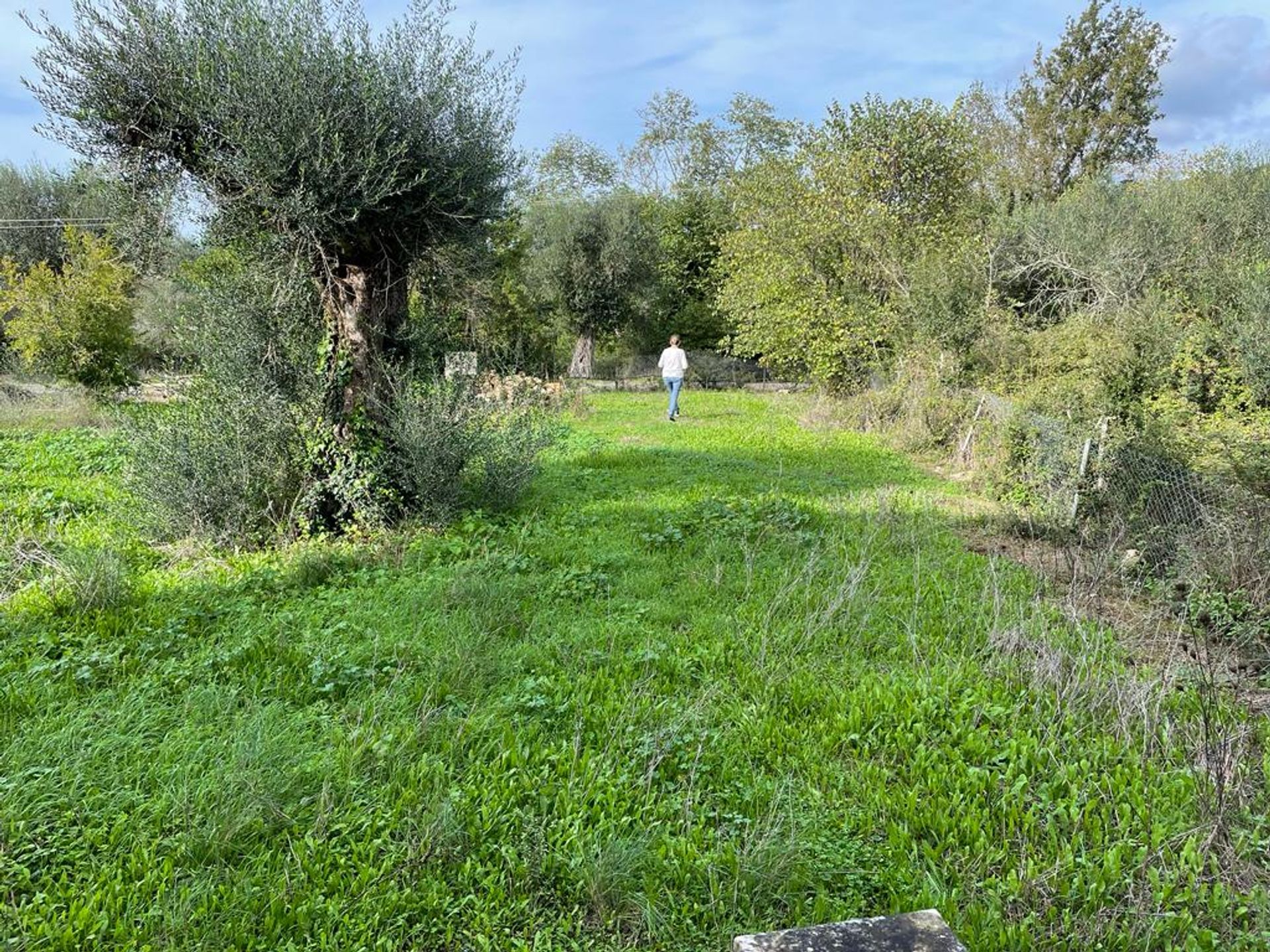 House in Kouramades,  12424637