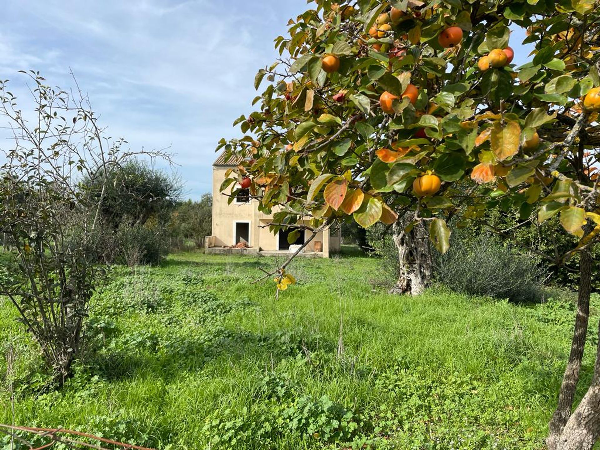 House in Kouramades,  12424637