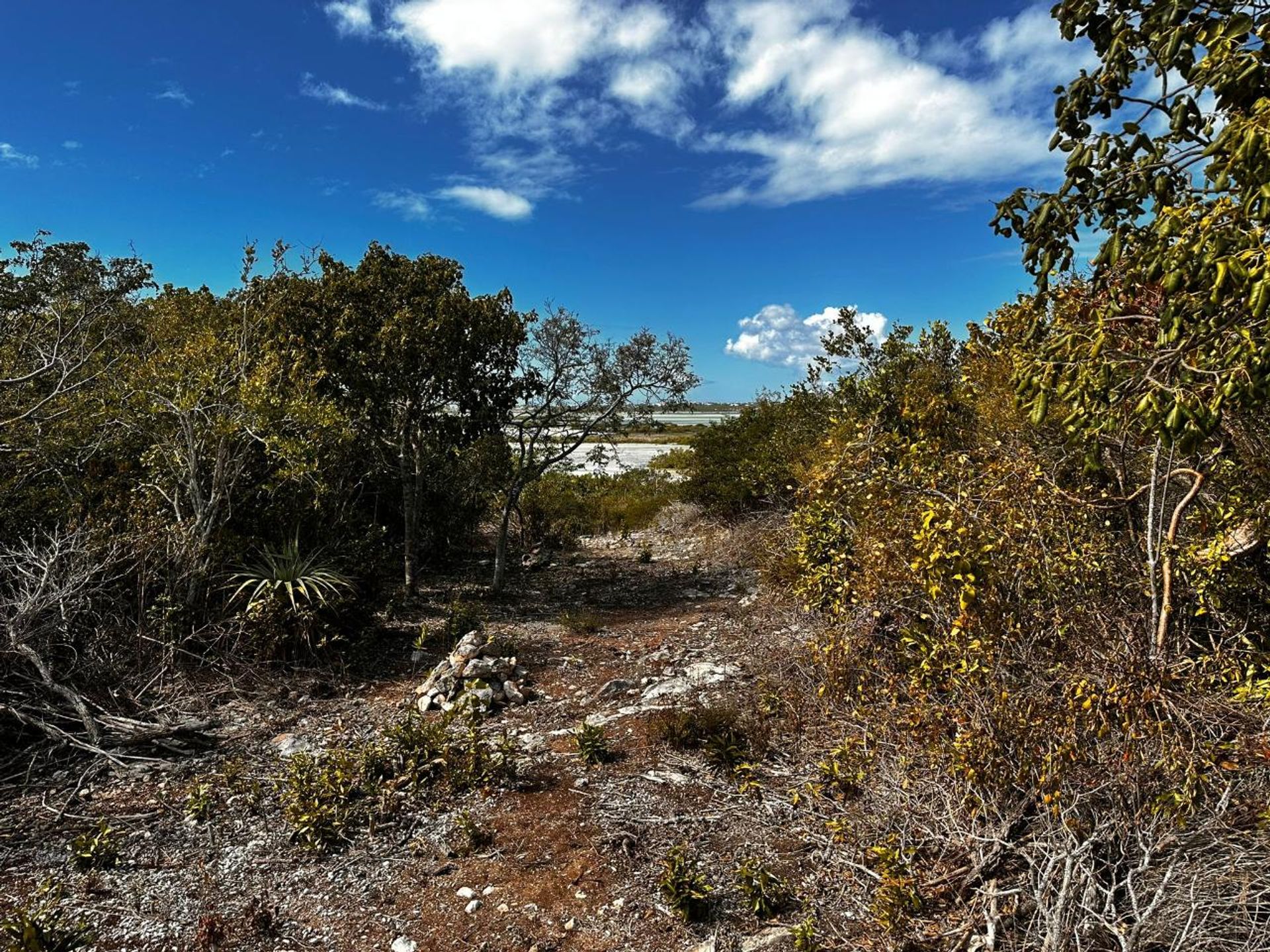 Tanah dalam Long Bay Hills, Caicos Islands 12425072