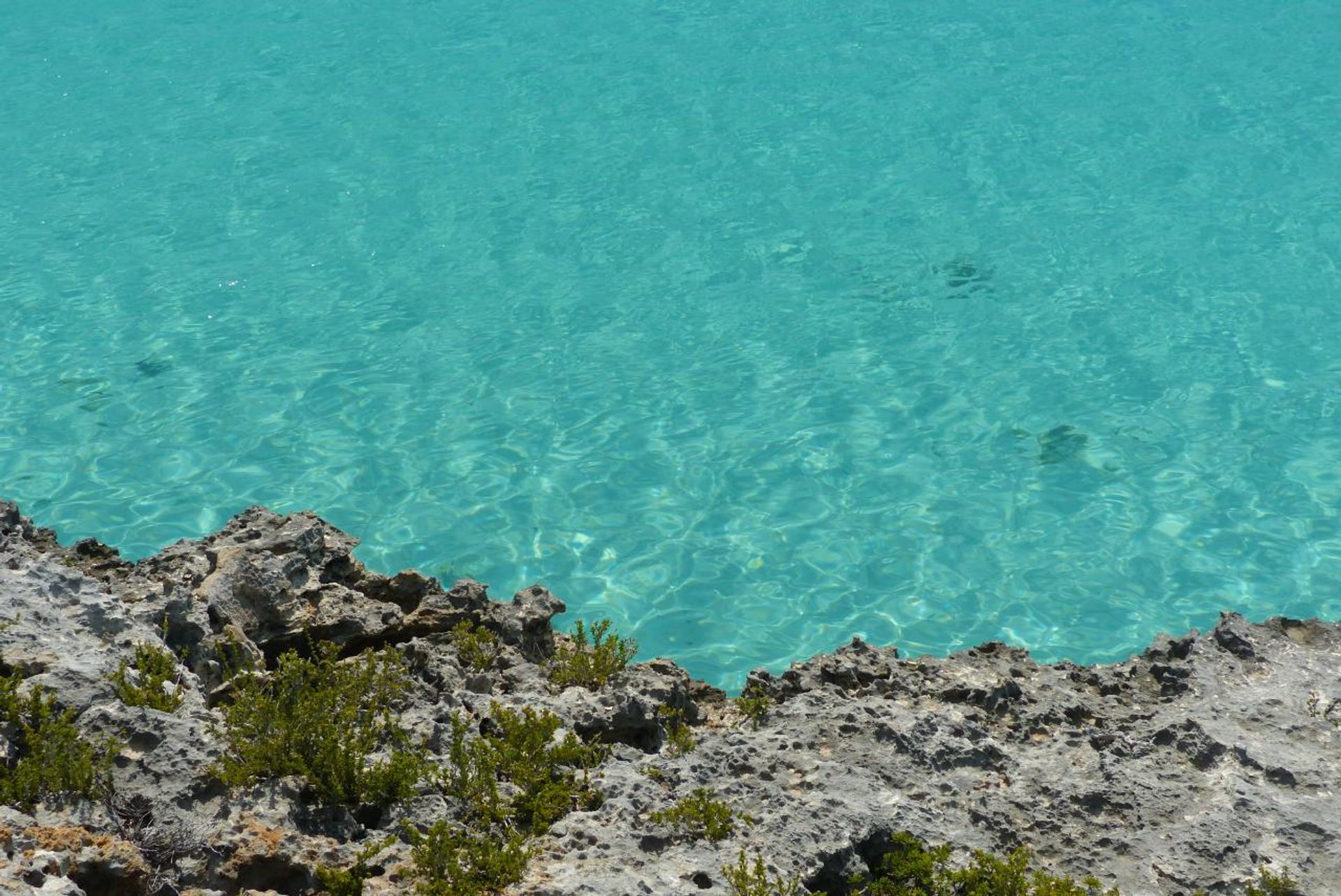 Land im Venetian Road Settlement, Caicos Islands 12425085