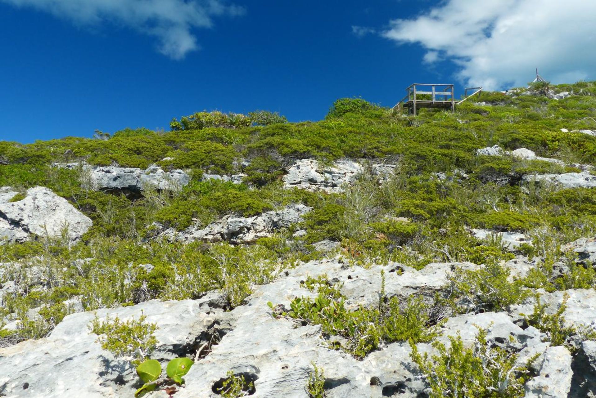 Land im Venetian Road Settlement, Caicos Islands 12425085