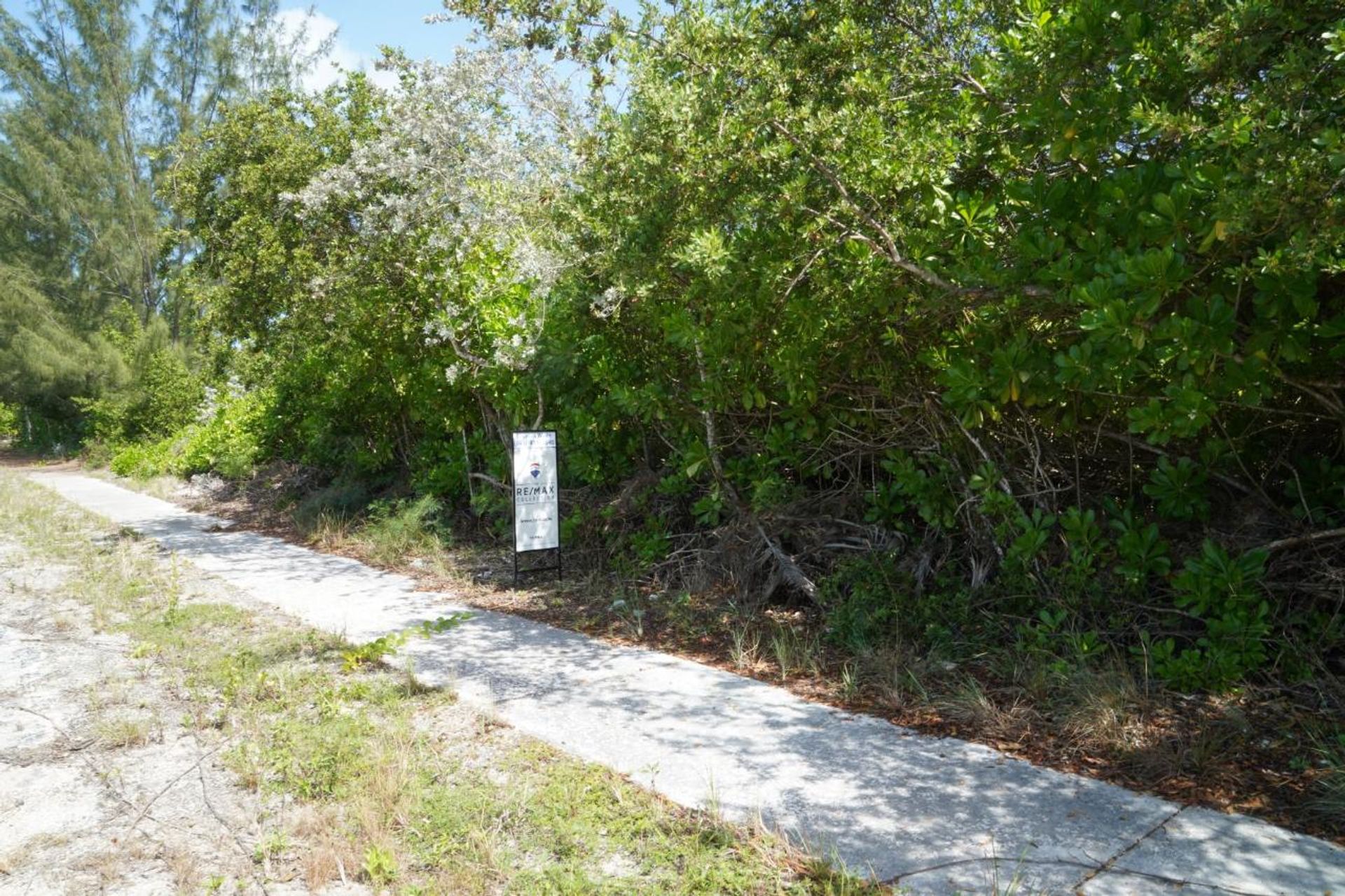 土地 在 , Caicos Islands 12425116