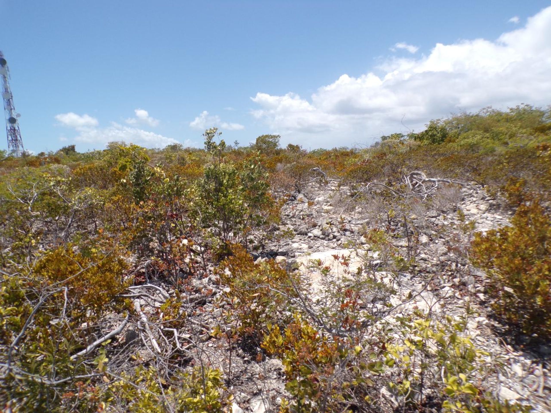 Maa sisään Long Bay Hills, Caicos Islands 12425133