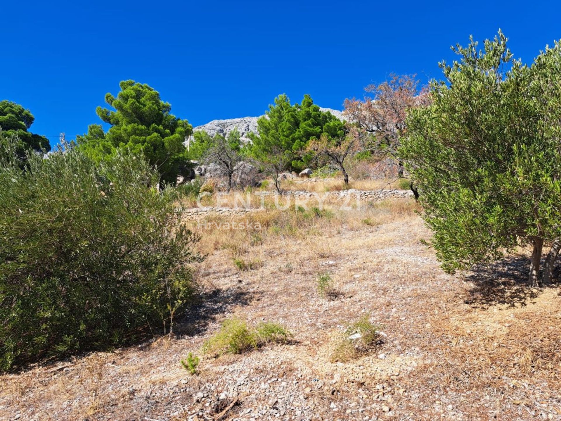 Land i Omis, Splitsko-Dalmatinska Zupanija 12426368