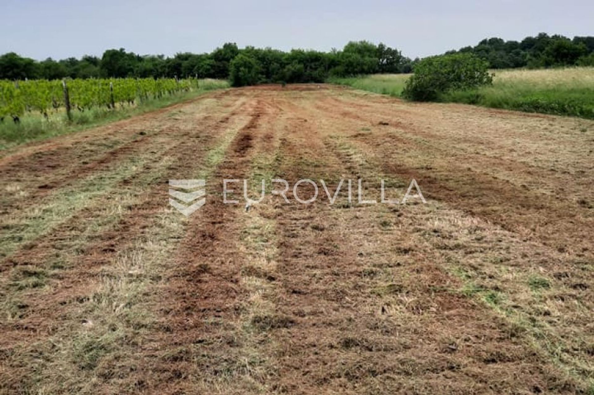 Land i Muntić, Istarska županija 12427947