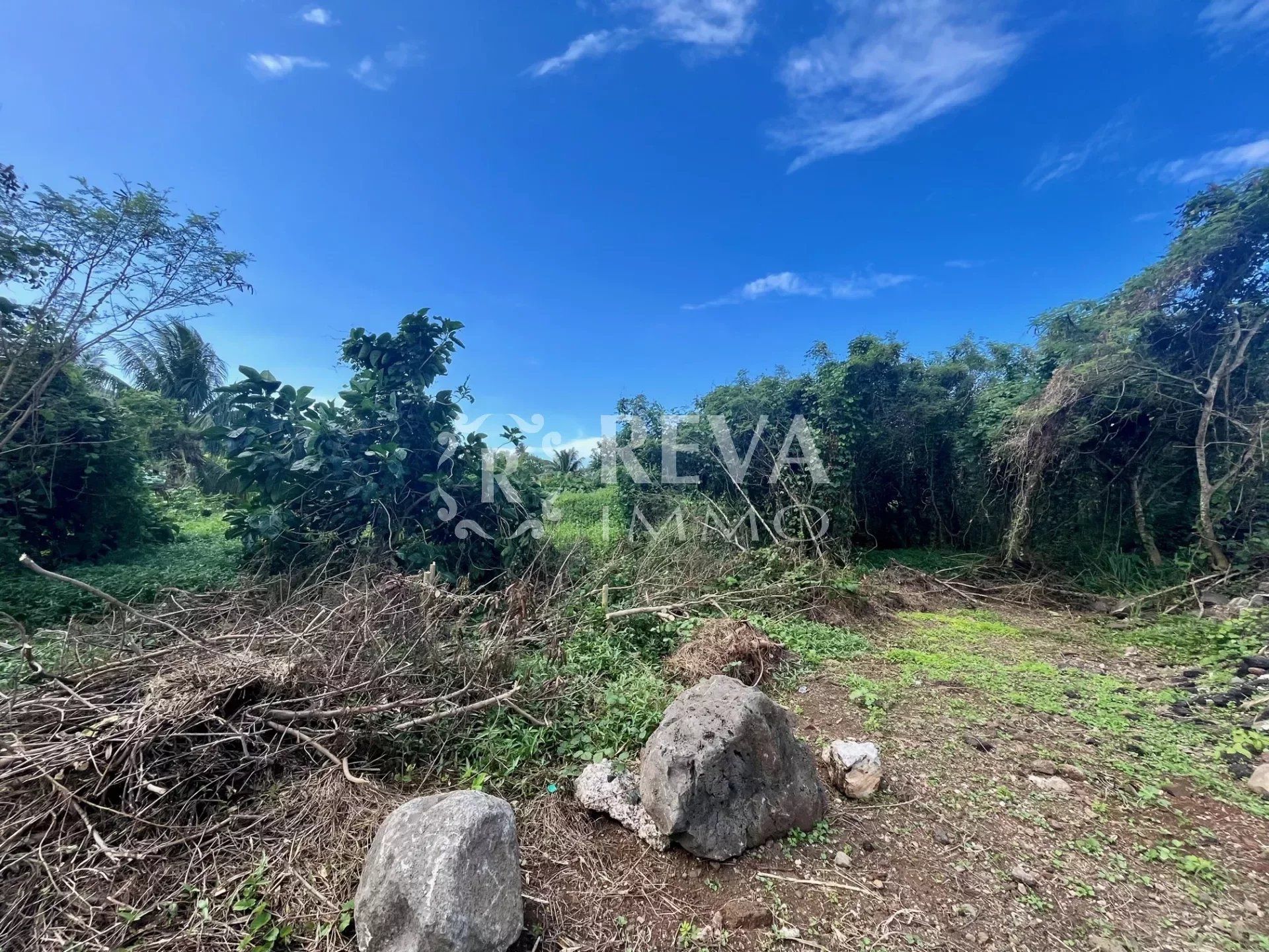 Land im Moorea-Maiao, Îles du Vent 12429221