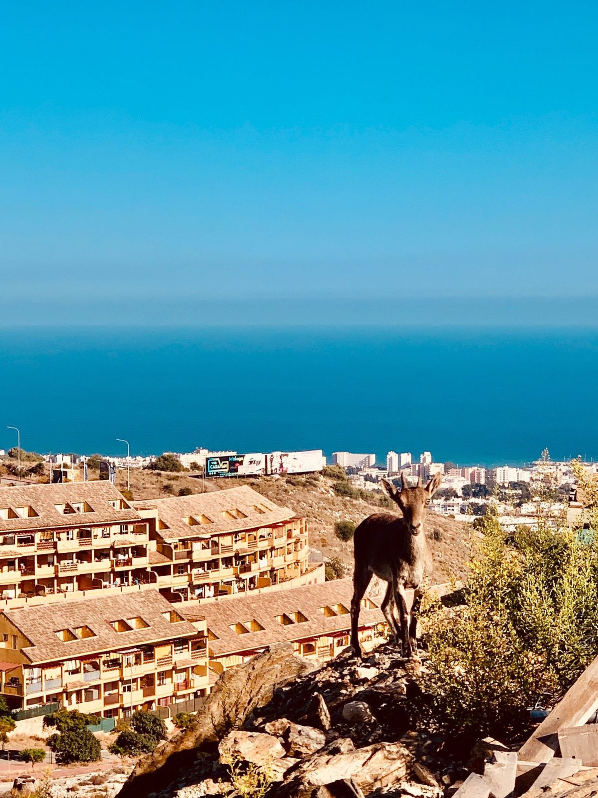 Tanah di Benalmádena, Andalusia 12431217