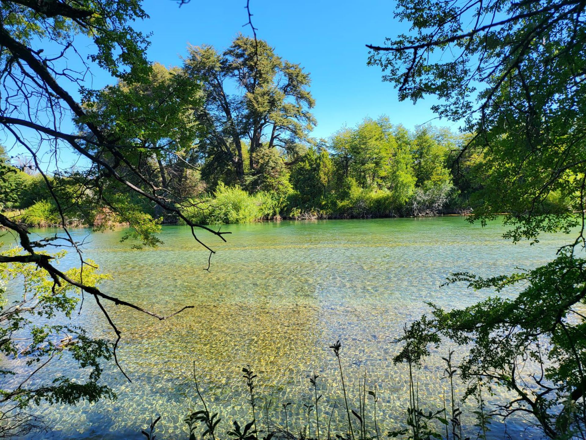 其他 在 , Chubut 12431385