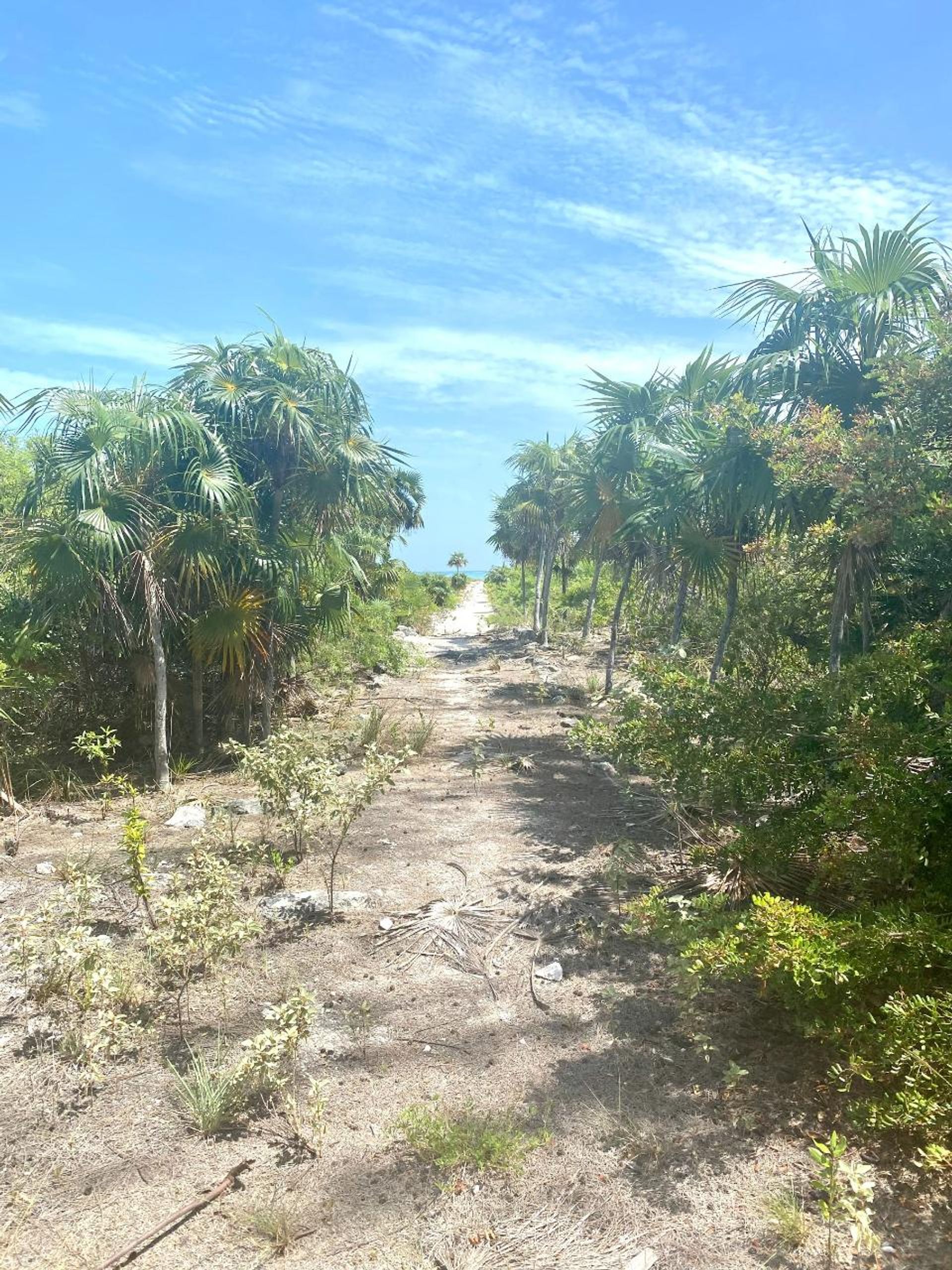 Terre dans , Caicos Islands 12432136