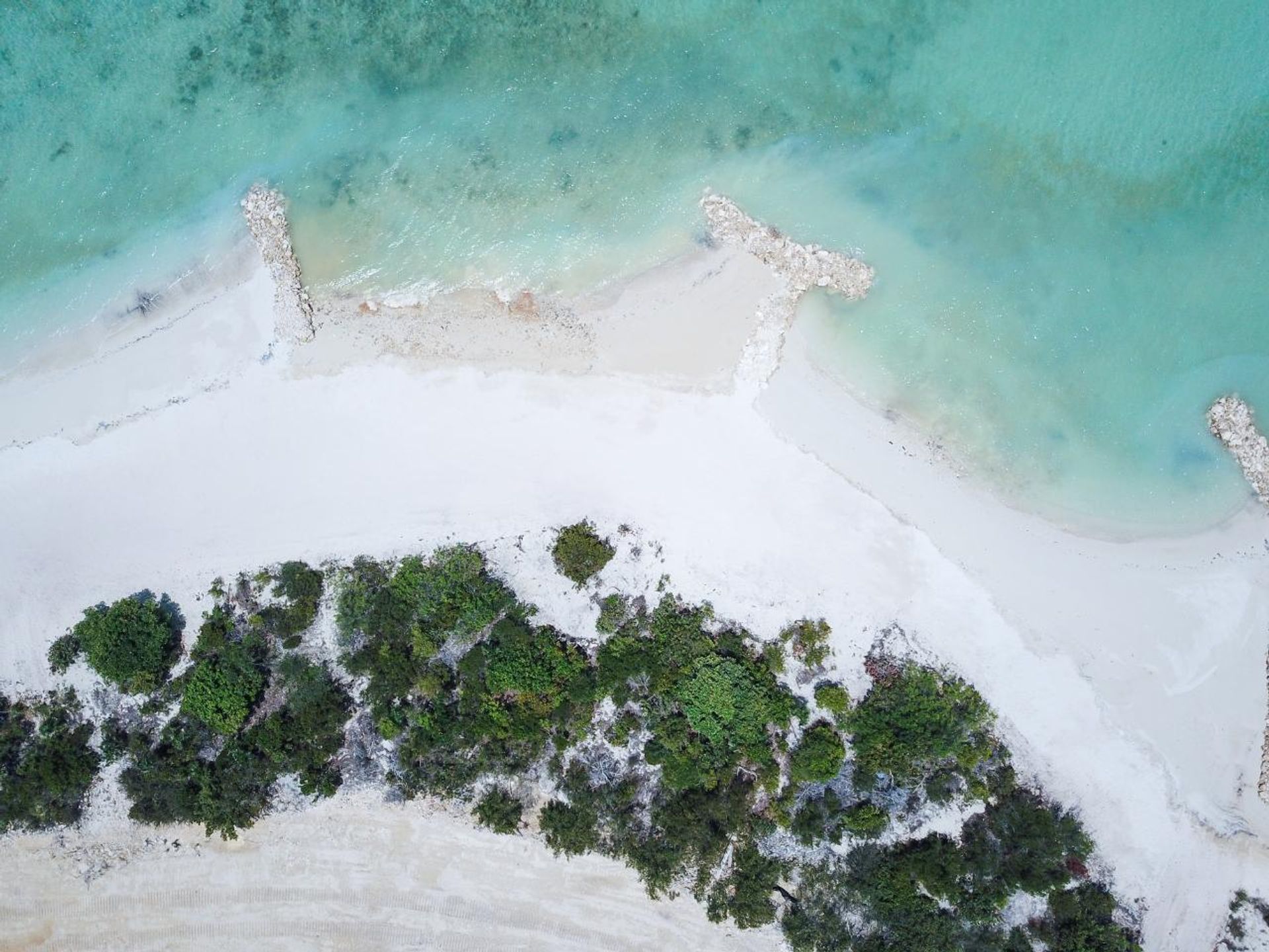 土地 在 , Caicos Islands 12432147