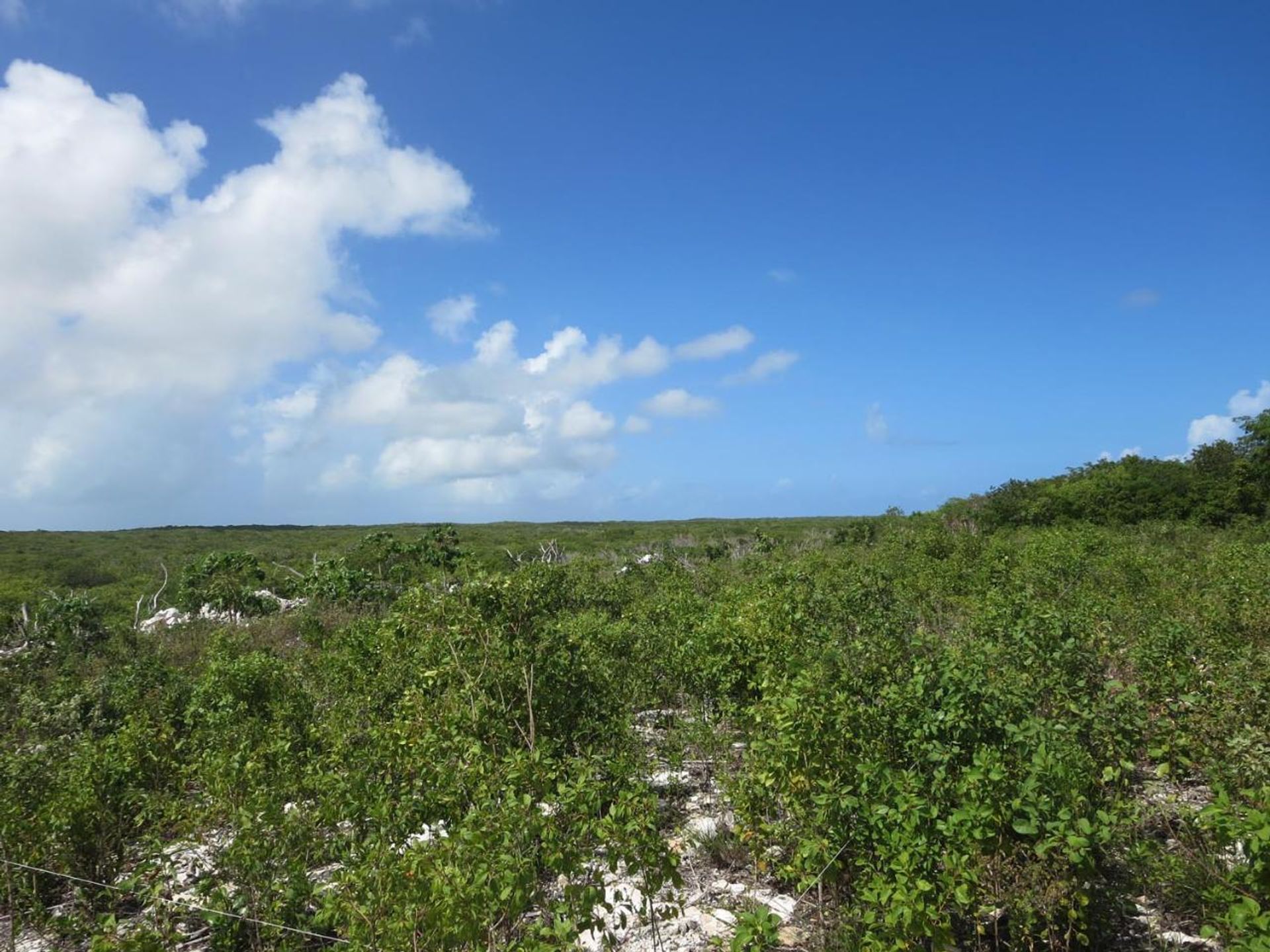 ארץ ב Bottle Creek, Caicos Islands 12432153