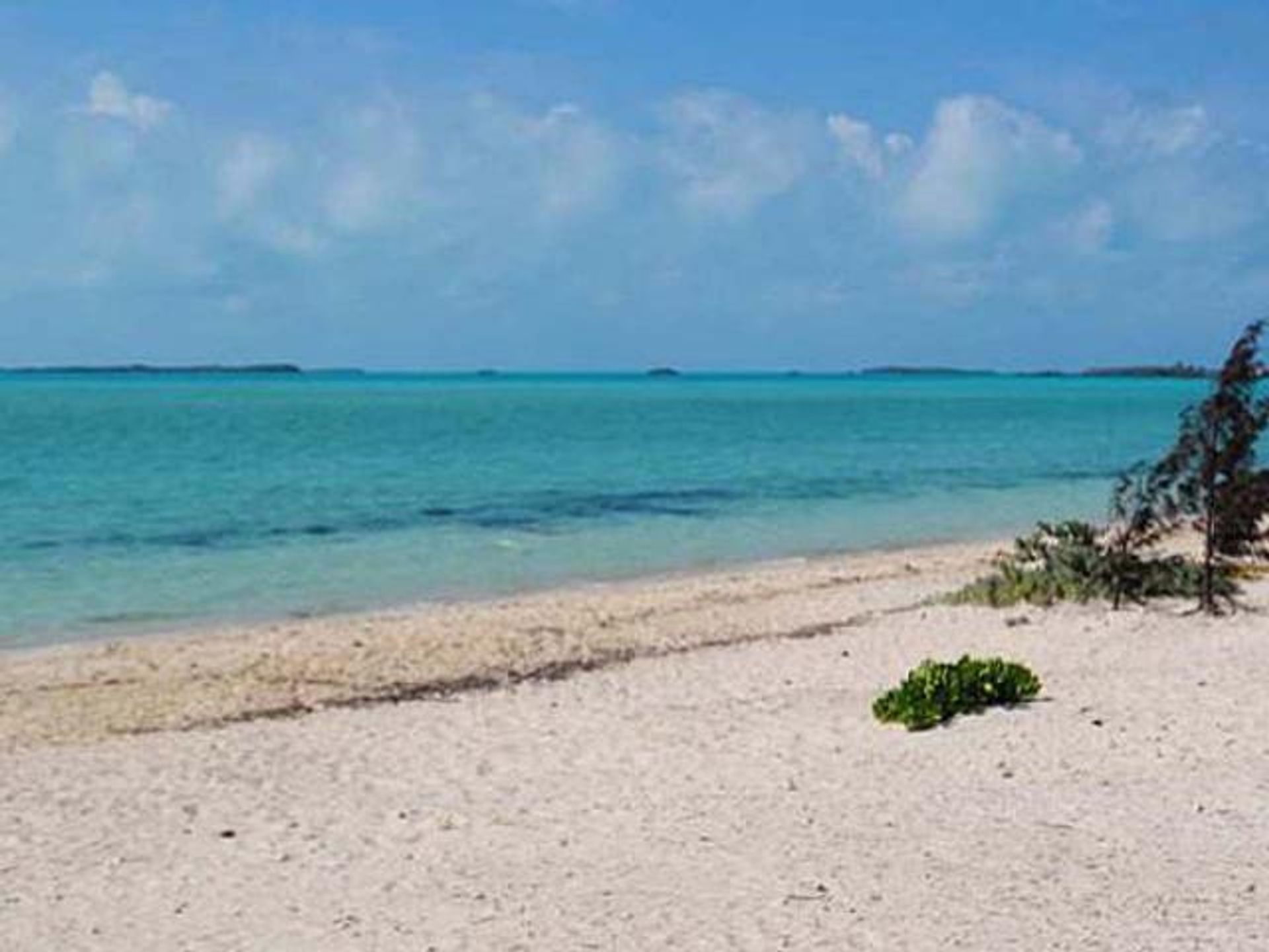 Terre dans , Caicos Islands 12432221