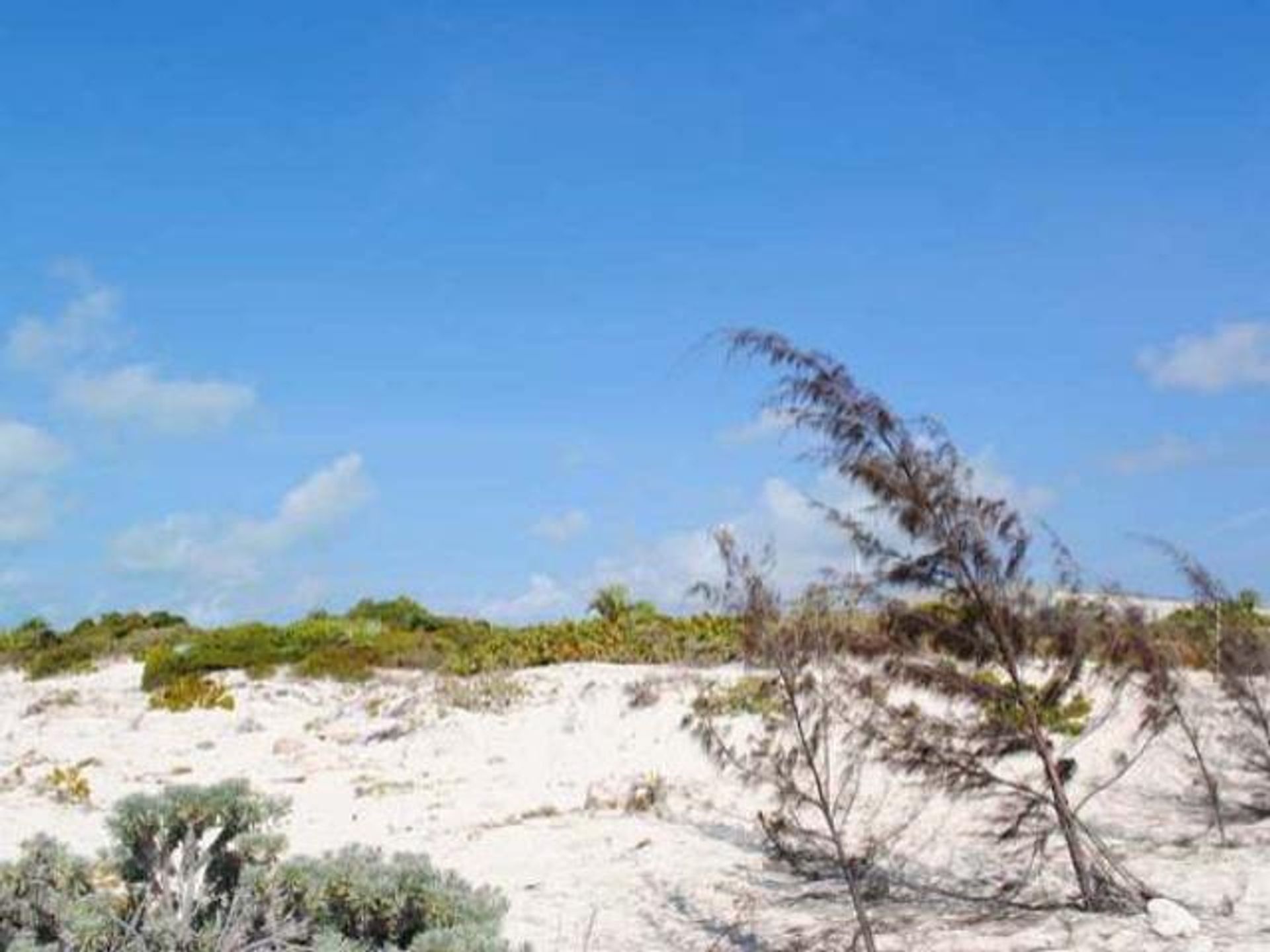 Земельные участки в , Caicos Islands 12432221