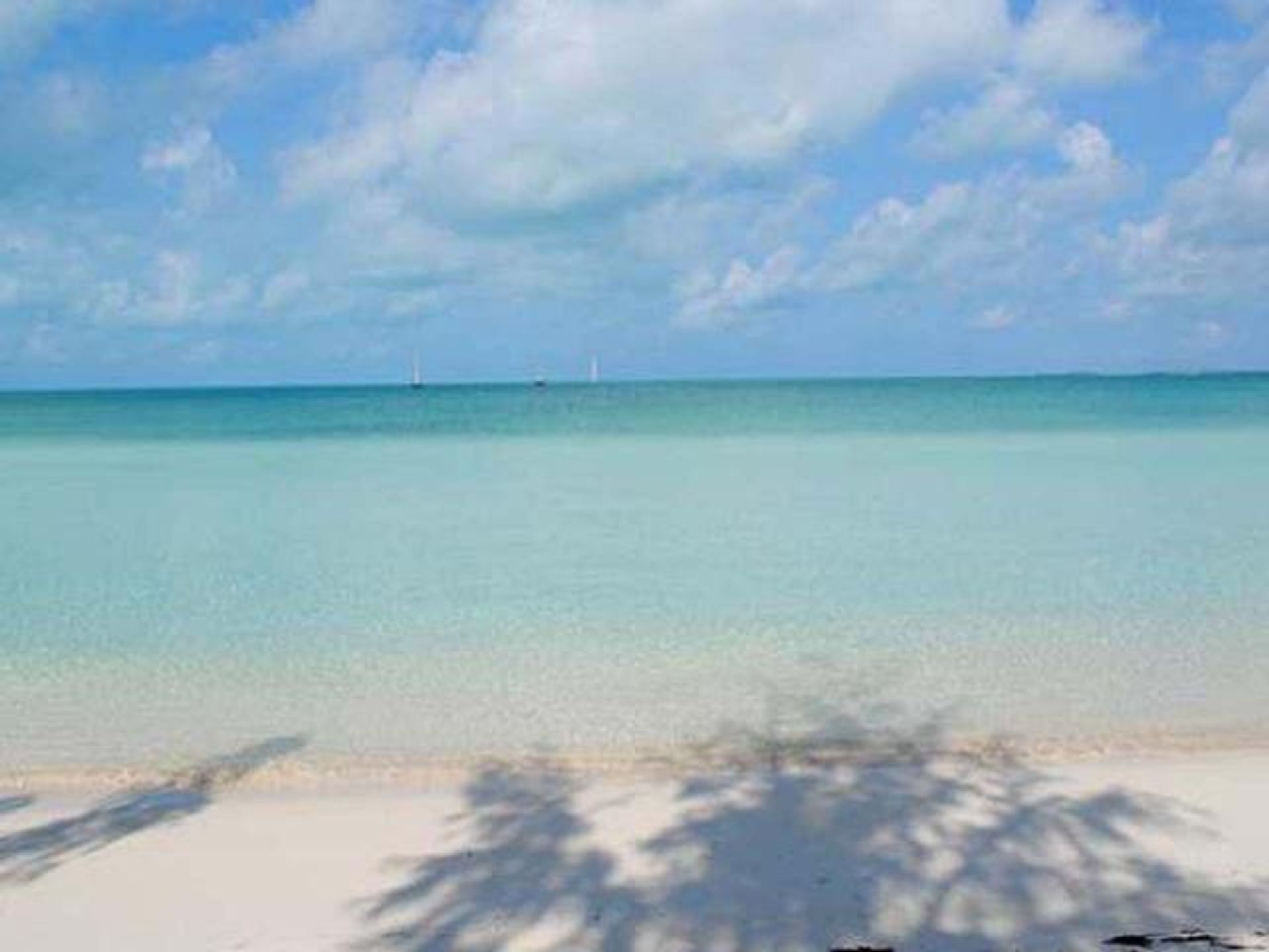 Terre dans , Caicos Islands 12432221