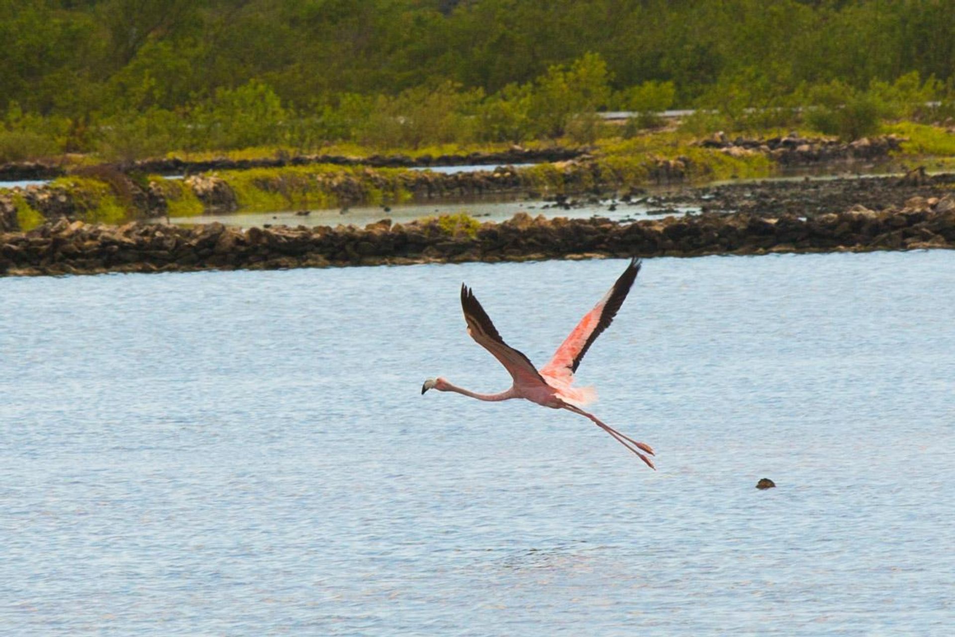 Wylądować w , Caicos Islands 12432243