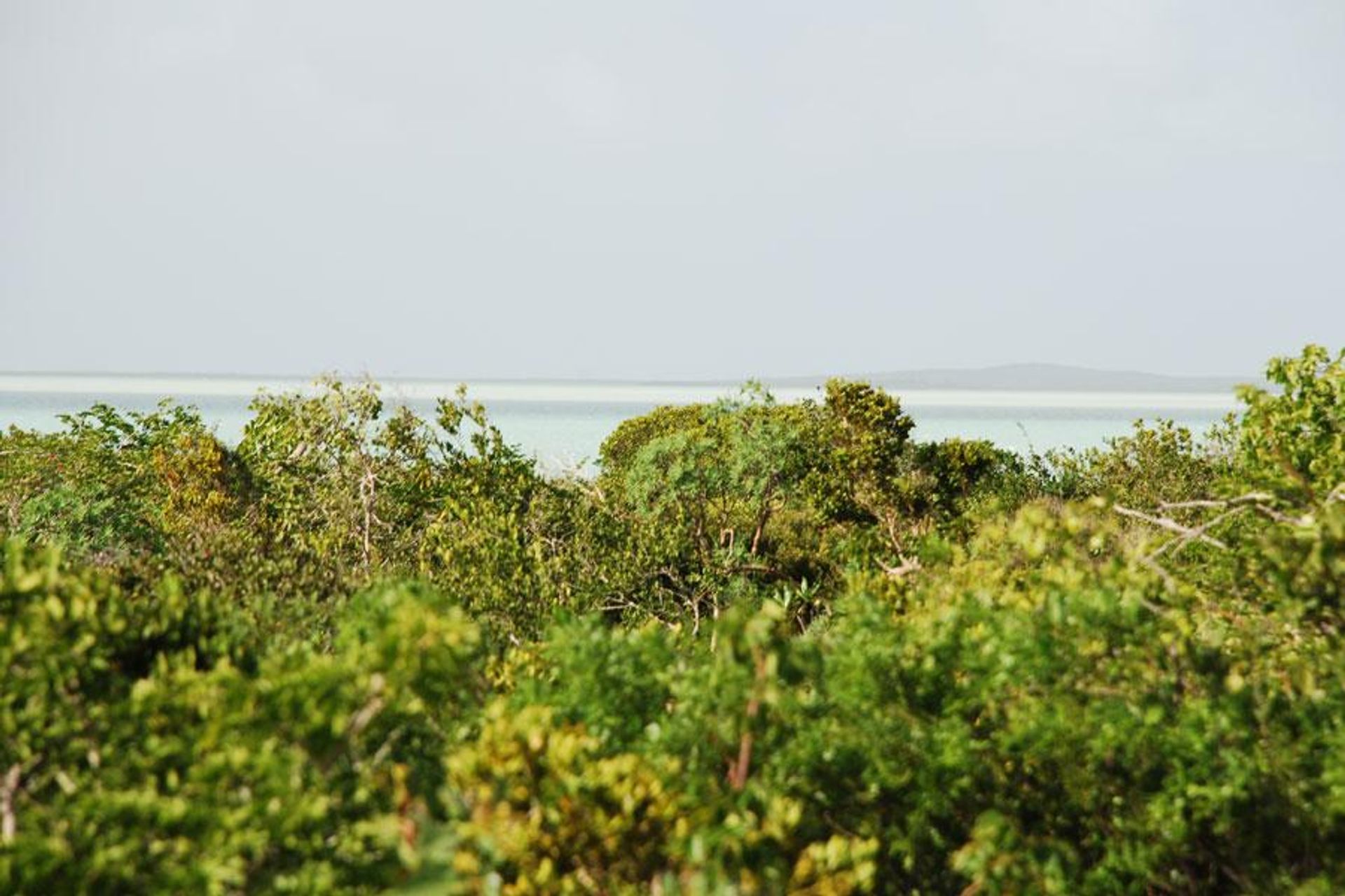 Terra no , Caicos Islands 12432243