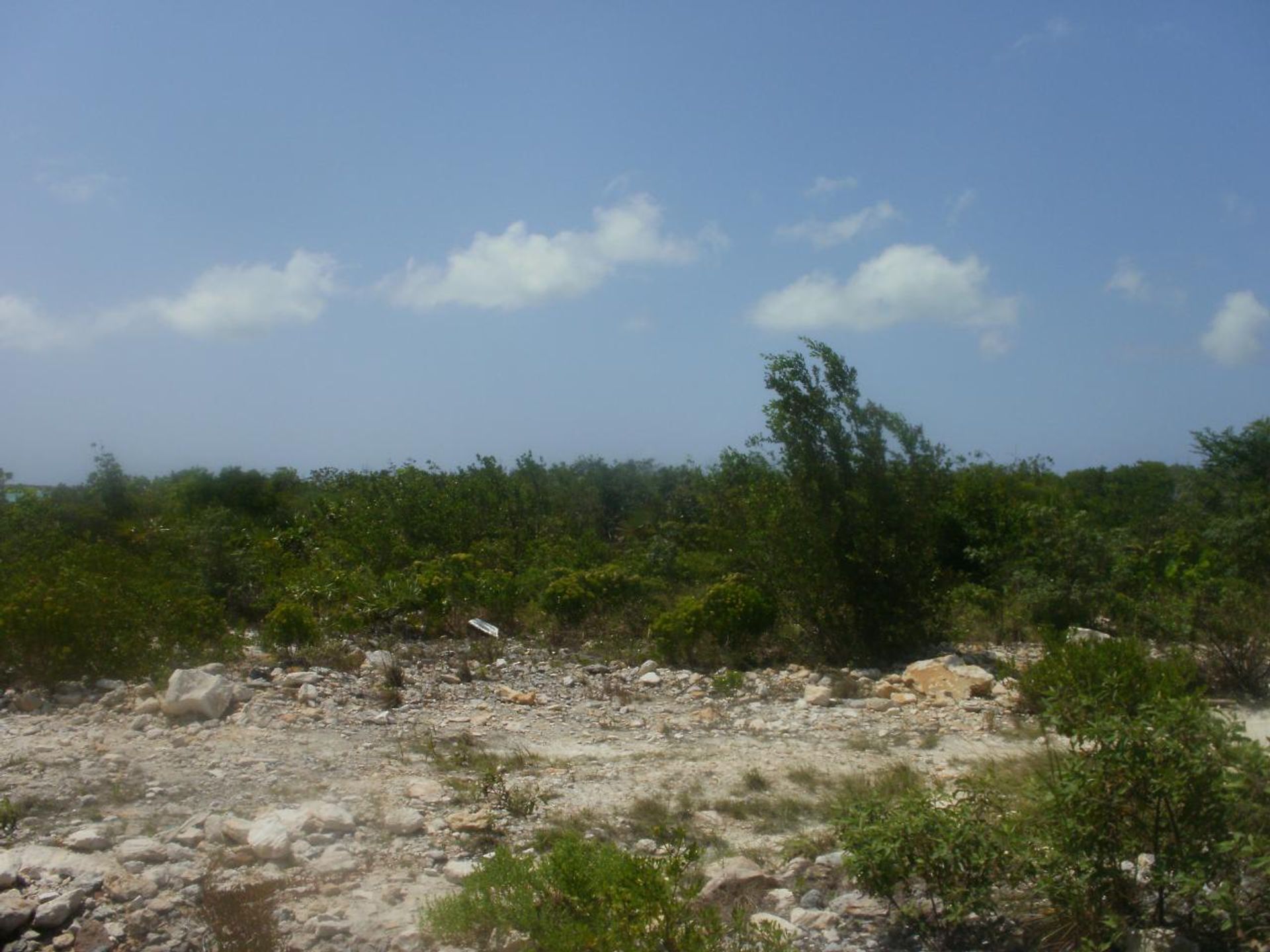 Condomínio no , Caicos Islands 12432244