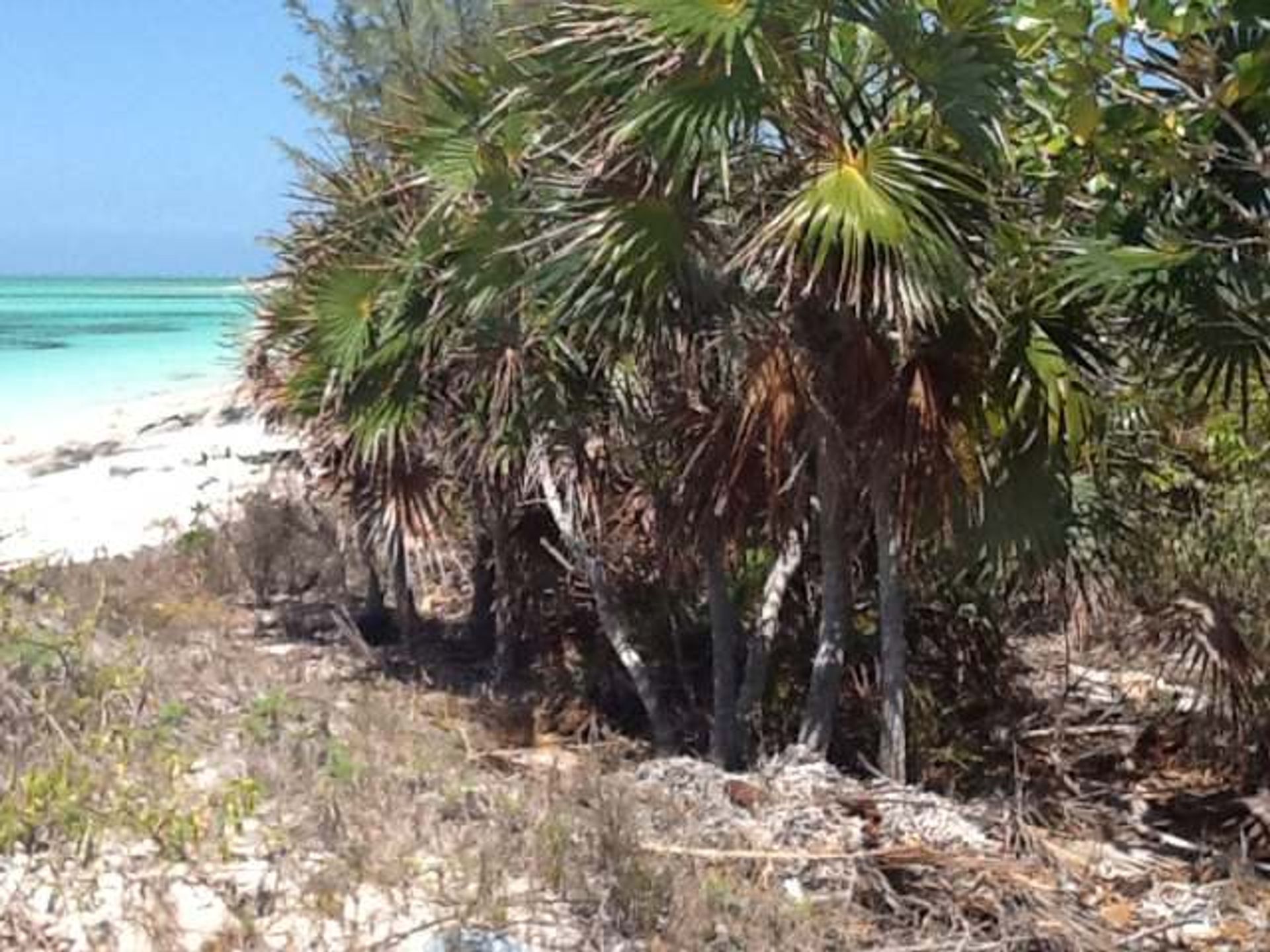 Land in , Caicos Islands 12432258