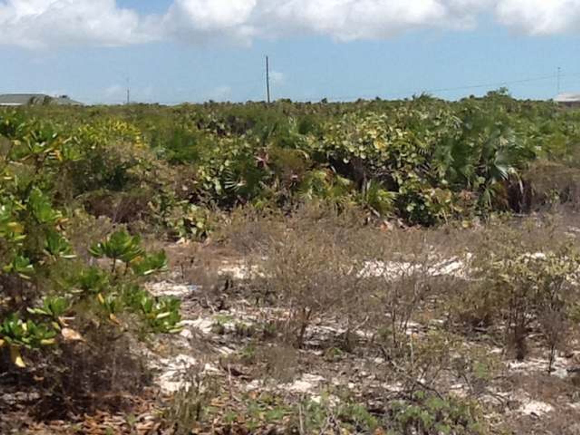 Land i , Caicos Islands 12432258