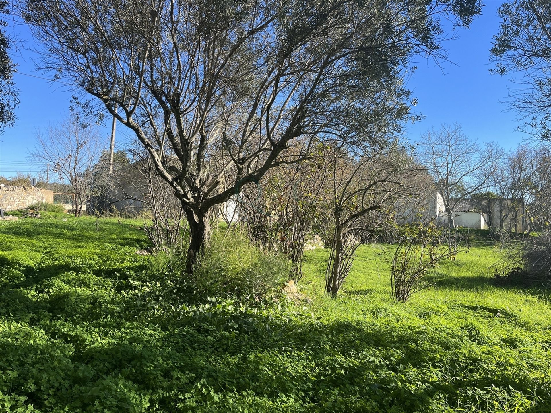 Hus i Loulé, Faro District 12432762