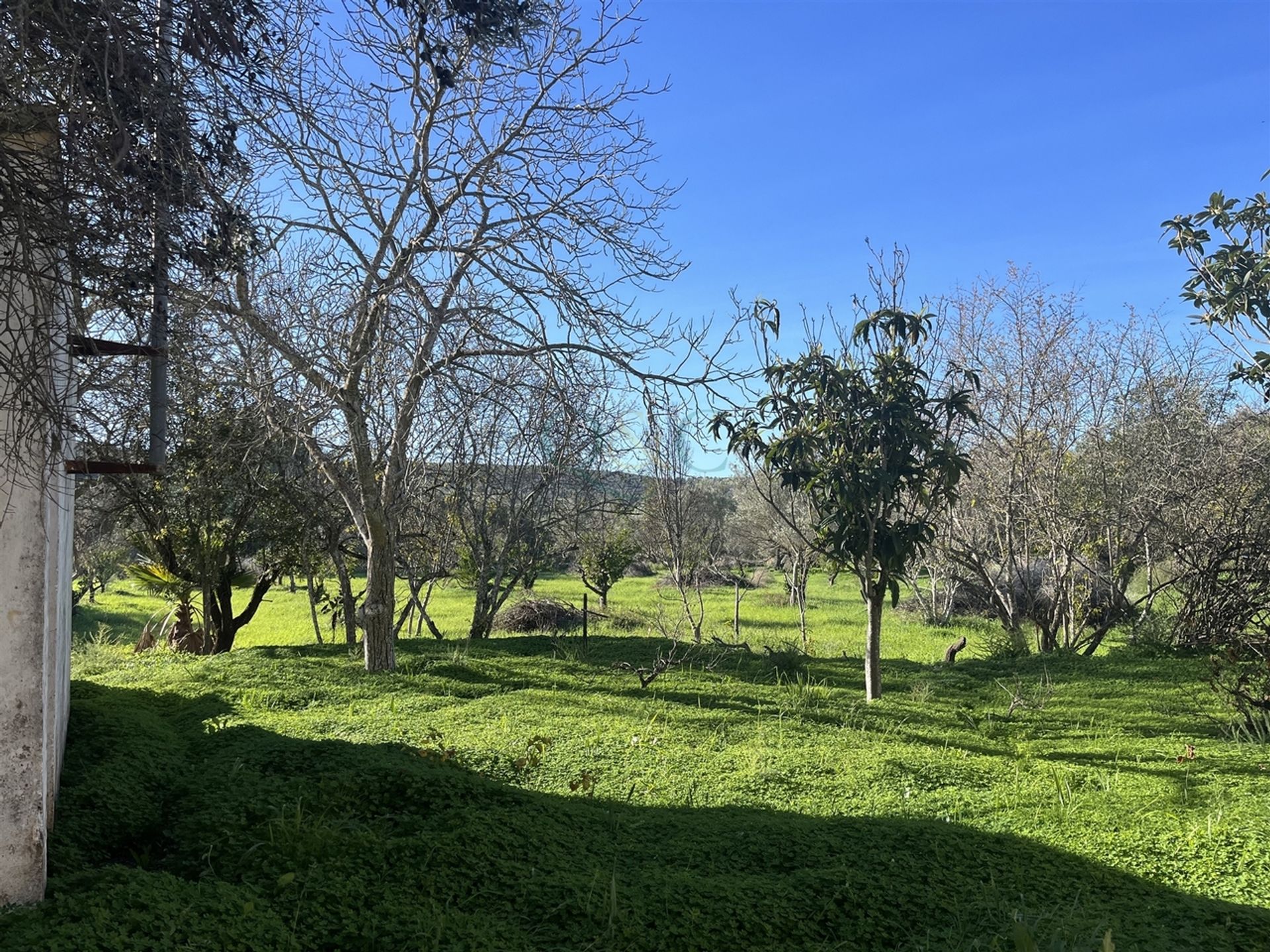 loger dans Loulé, Faro 12432762