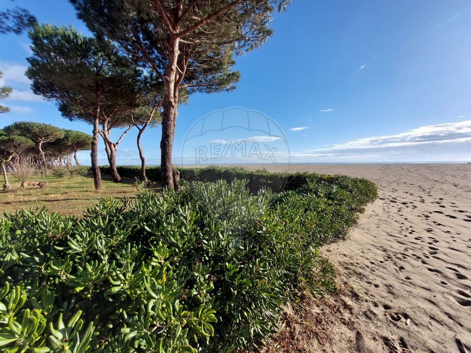 Borettslag i Argelès-sur-Mer, Occitanie 12433235