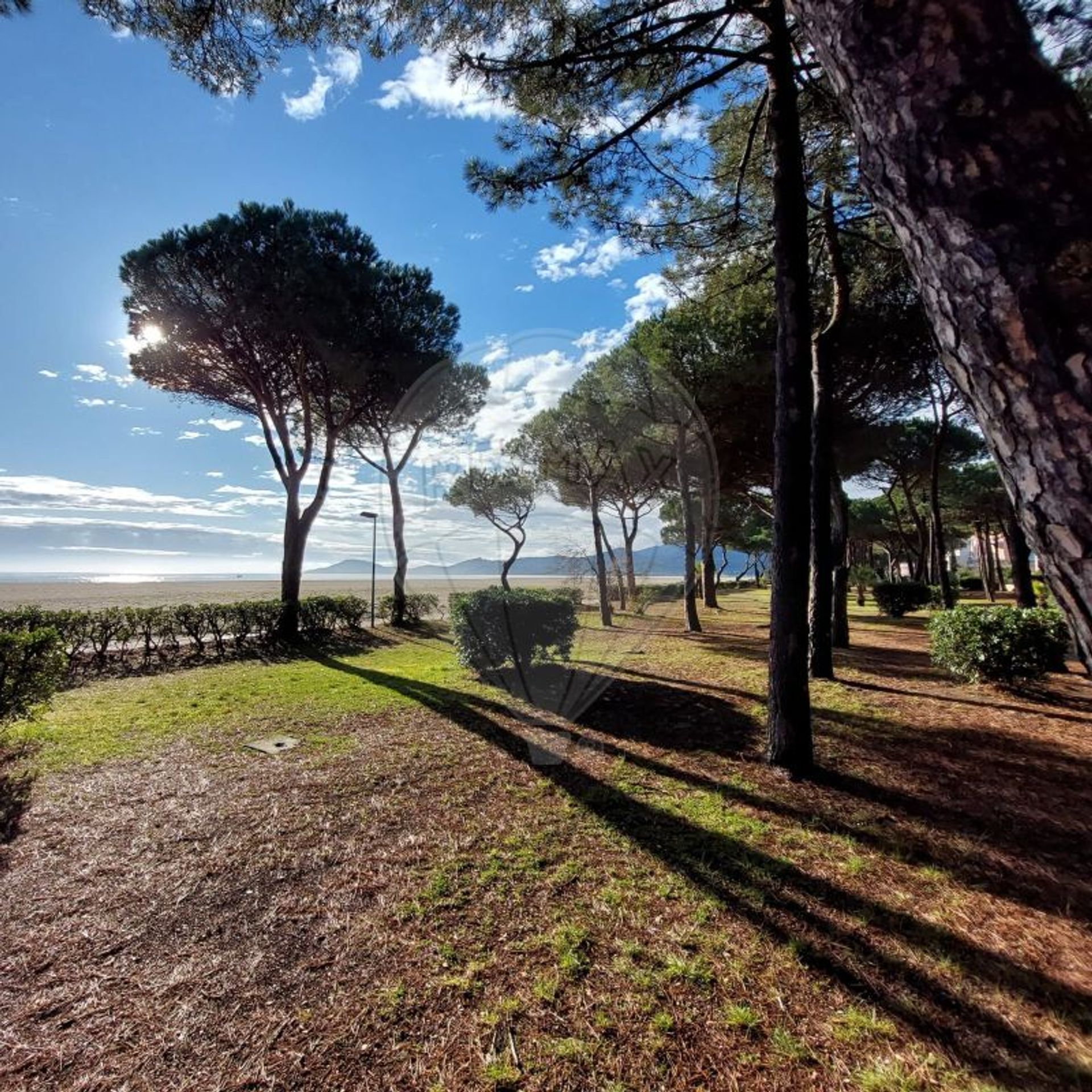 Borettslag i Argelès-sur-Mer, Occitanie 12433235