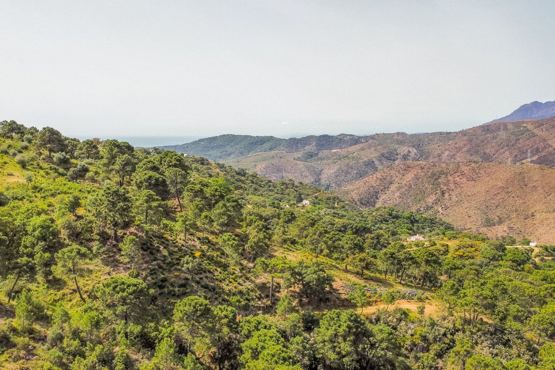 Terra no Benahavís, Andalusia 12433374