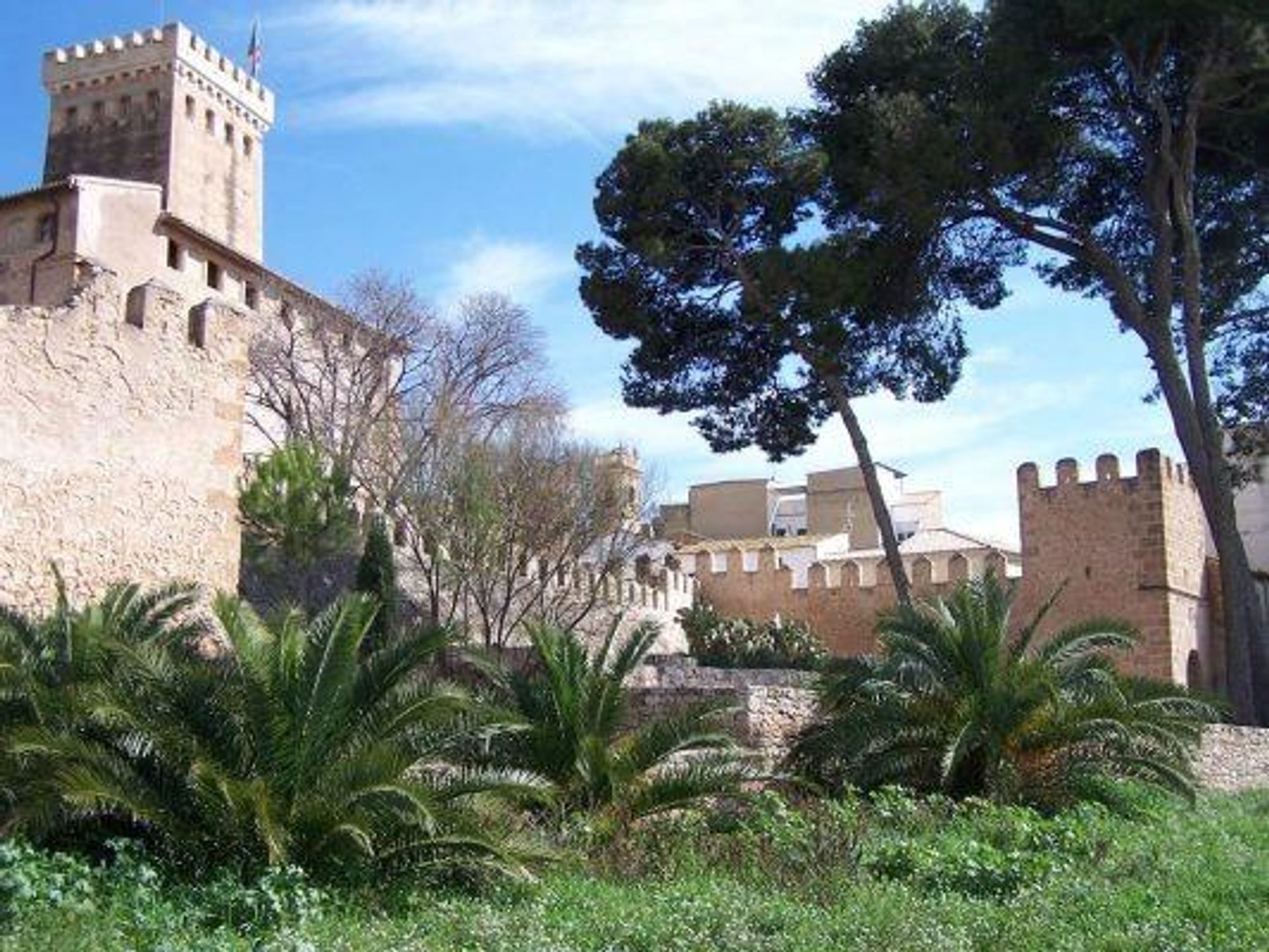 Other in Benisanó, Valencian Community 12433815