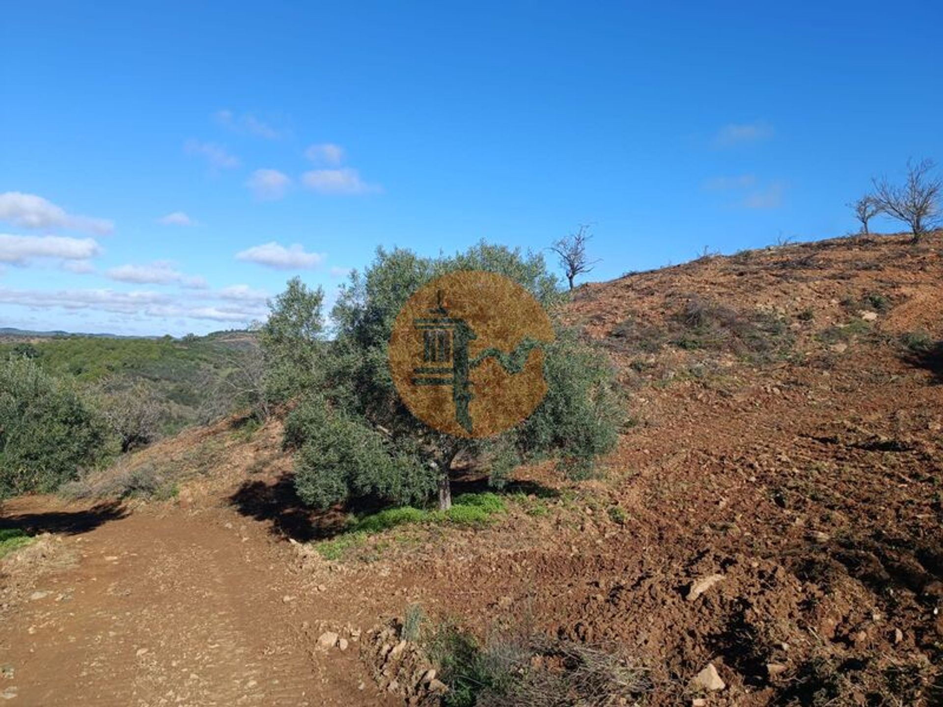 Tierra en odeleita, Faraón 12441983