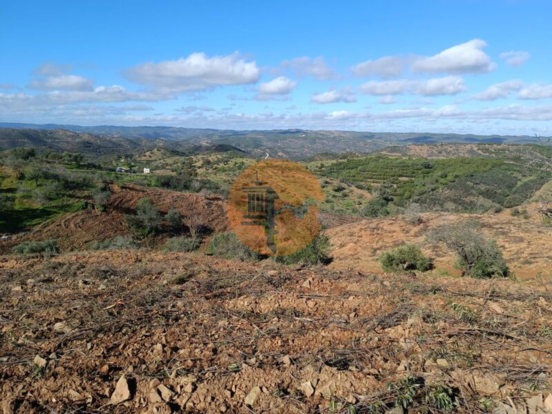 Tierra en odeleita, Faraón 12441983