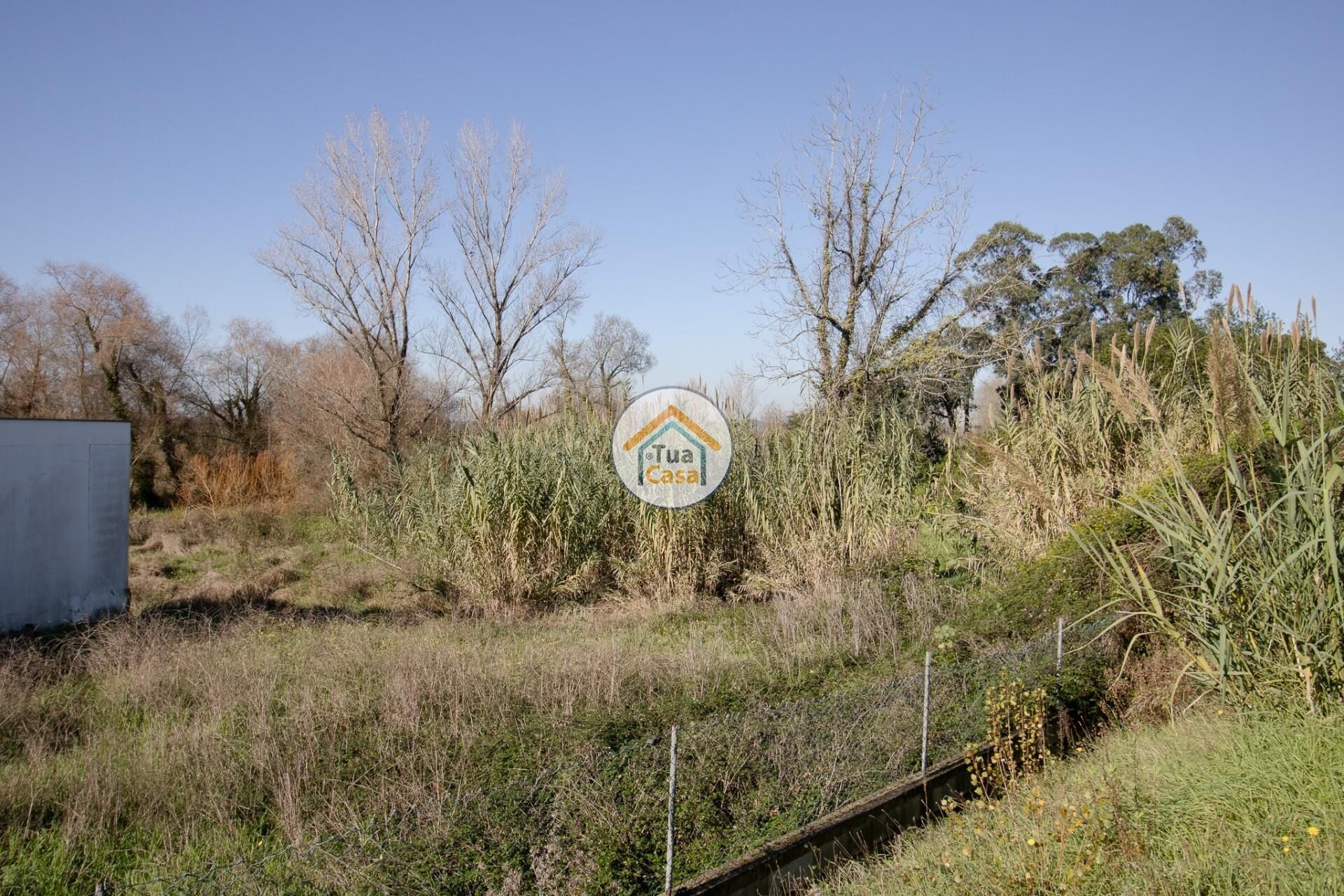 土地 在 Ribeira de Frades, Coimbra District 12442408