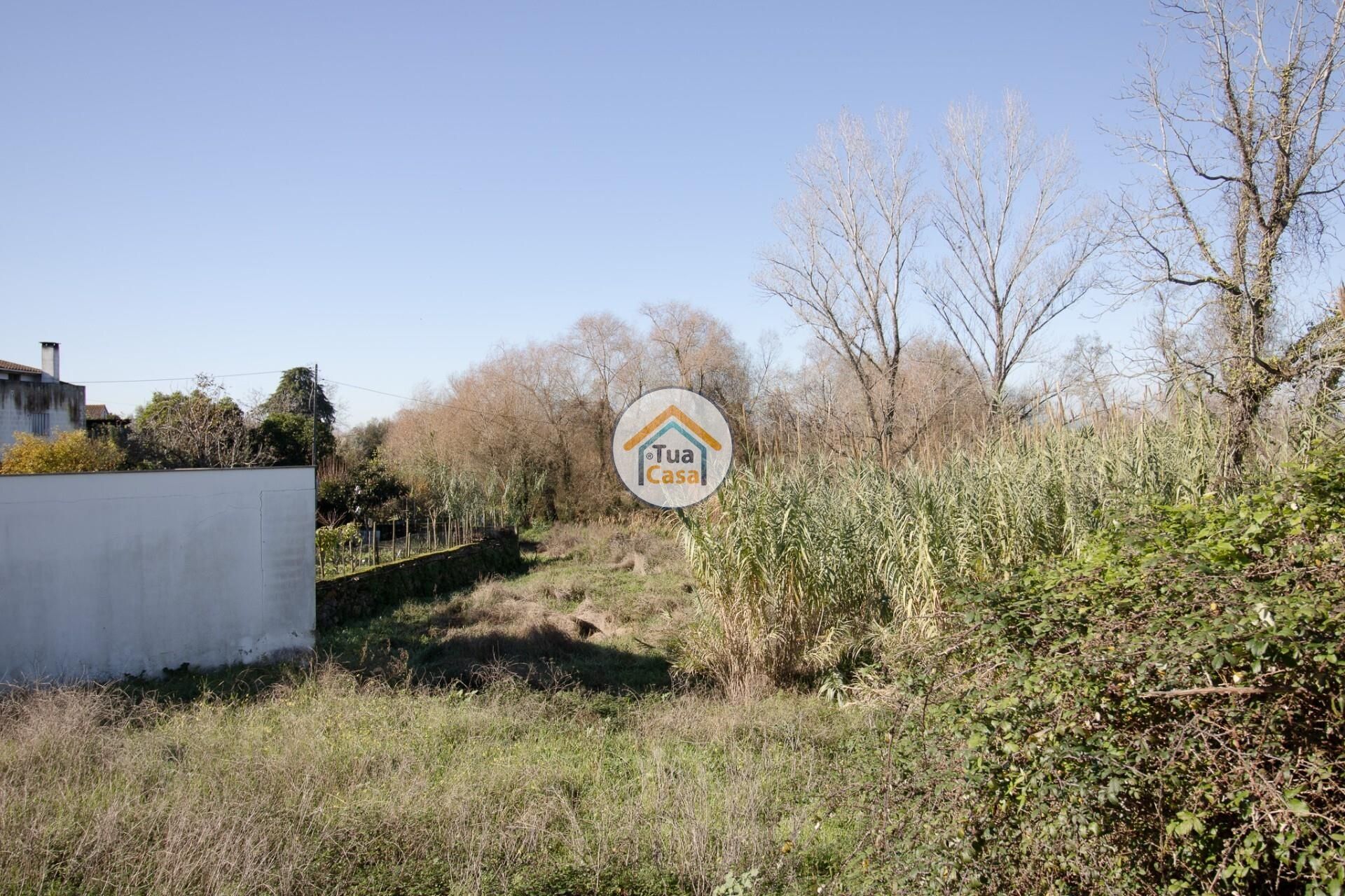 Land i Ribeira de Frades, Coimbra 12442408