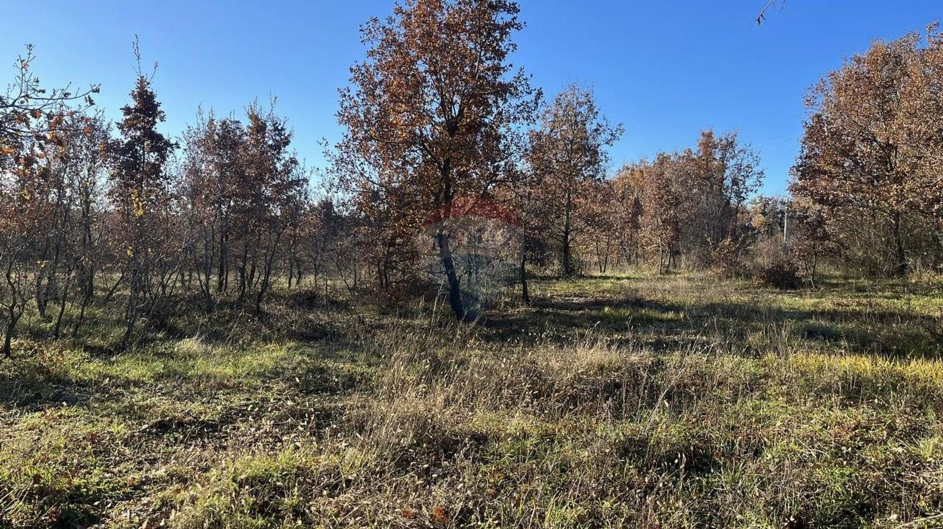 Tierra en Funtana, Istarska Županija 12443197