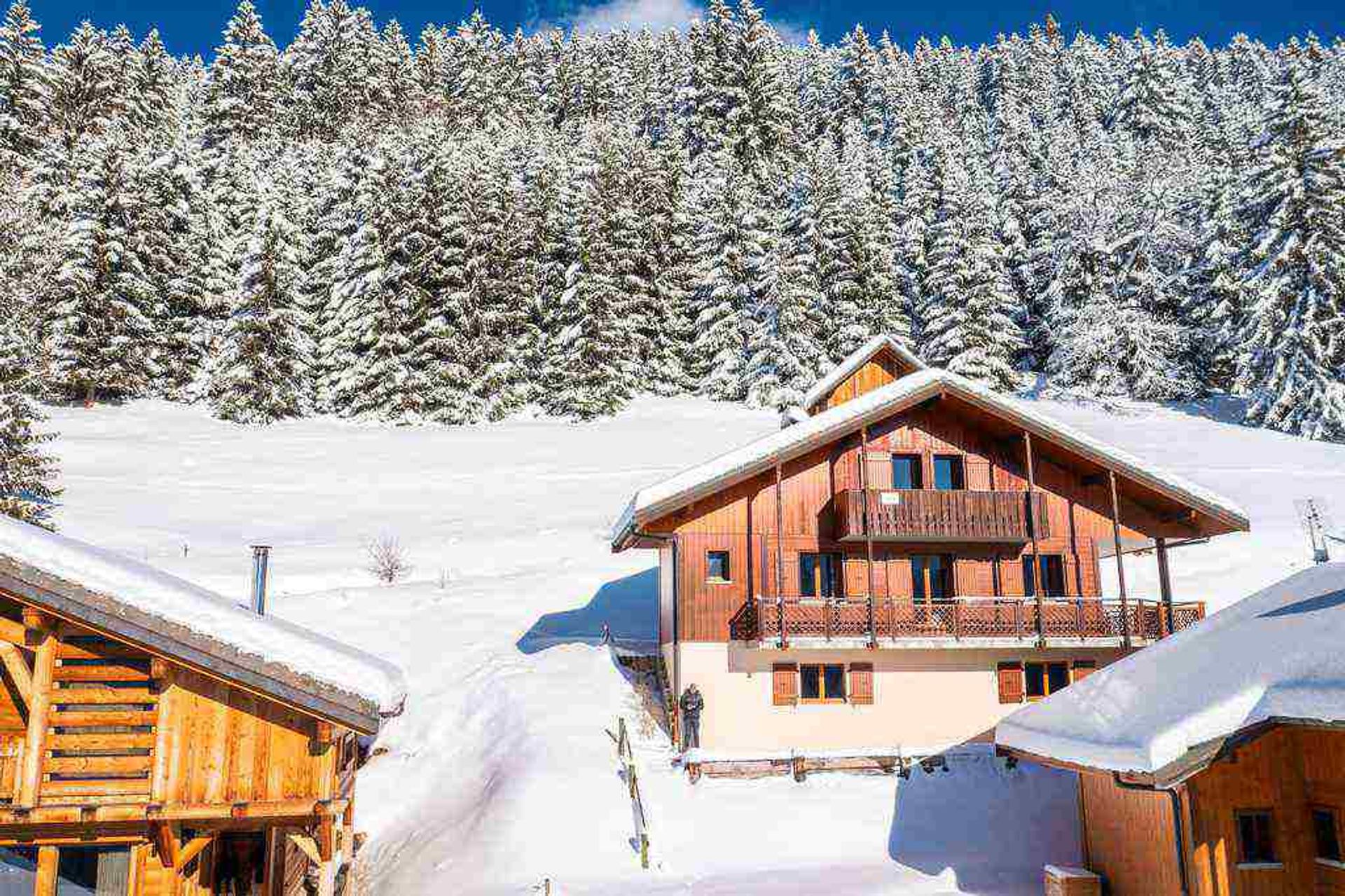 Altro nel Chatel, Auvergne-Rhone-Alpes 12443656