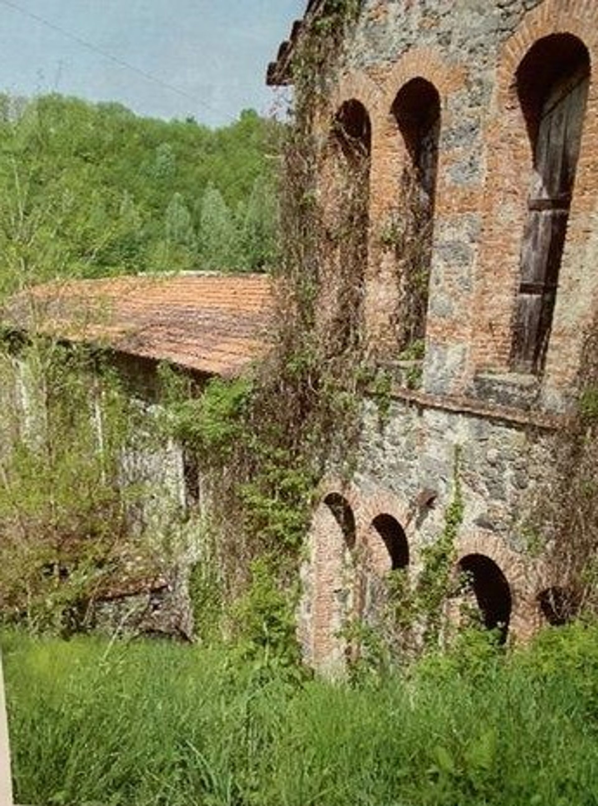 Inny w Castelnuovo w Garfagnana, Toskania 12443851