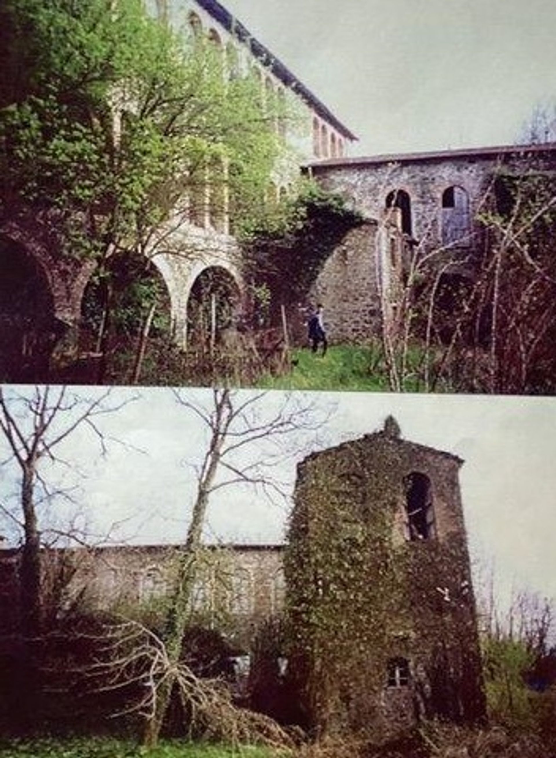 Muu sisään Castelnuovo di Garfagnana, Toscana 12443851