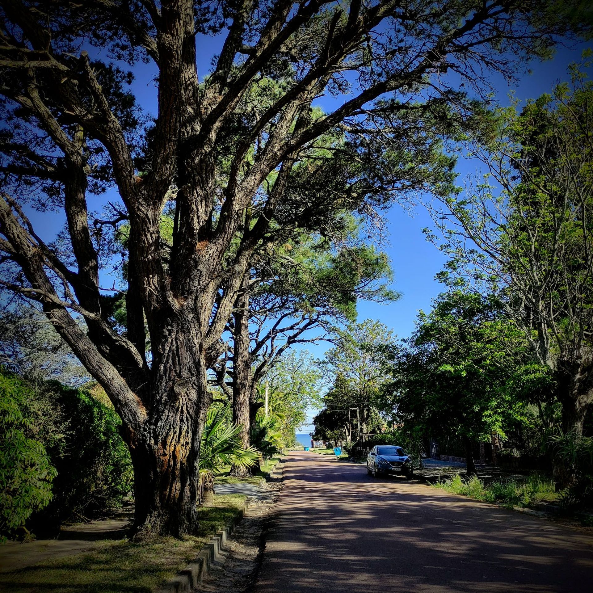 rumah dalam Atlántida, Departamento de Canelones 12443852