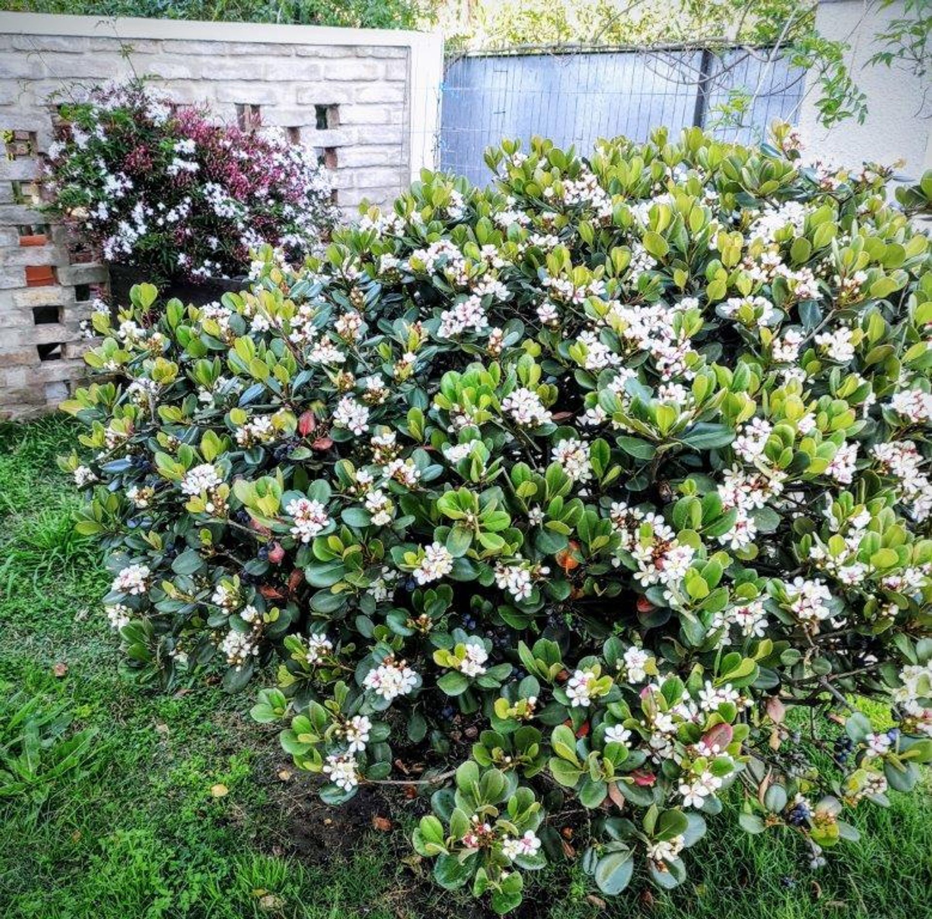 rumah dalam Atlántida, Departamento de Canelones 12443852