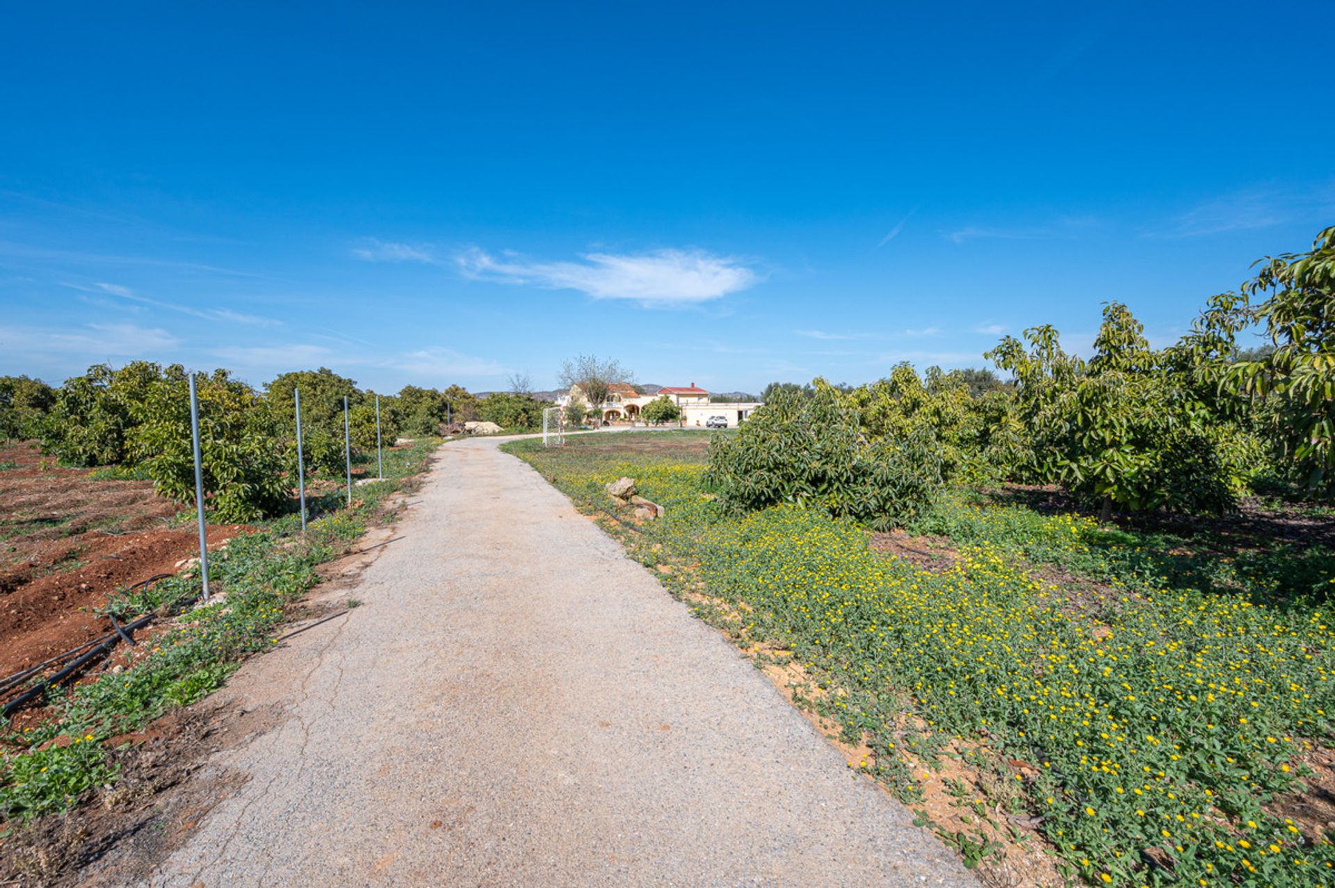 House in Alhaurín el Grande, Andalusia 12444408