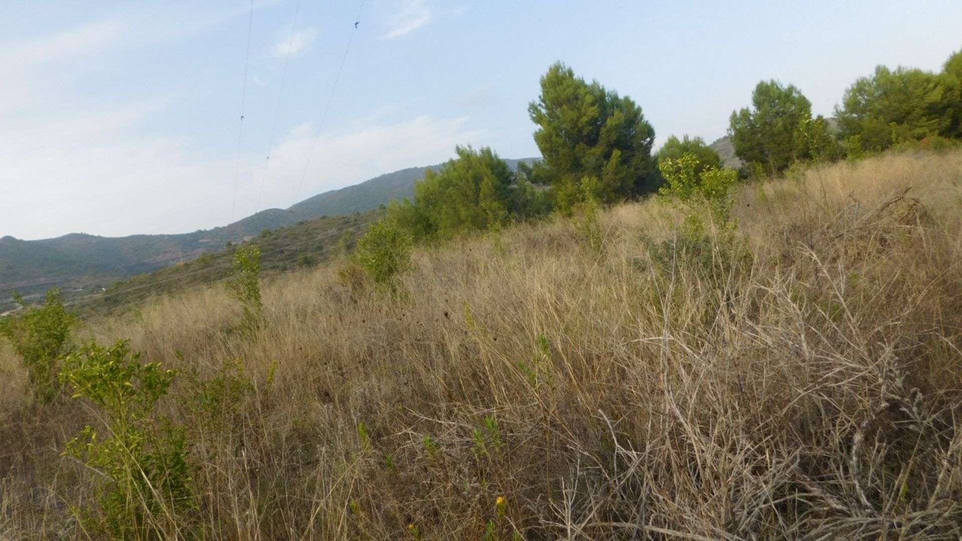 Other in la Vall d'Uixó, Valencian Community 12445009