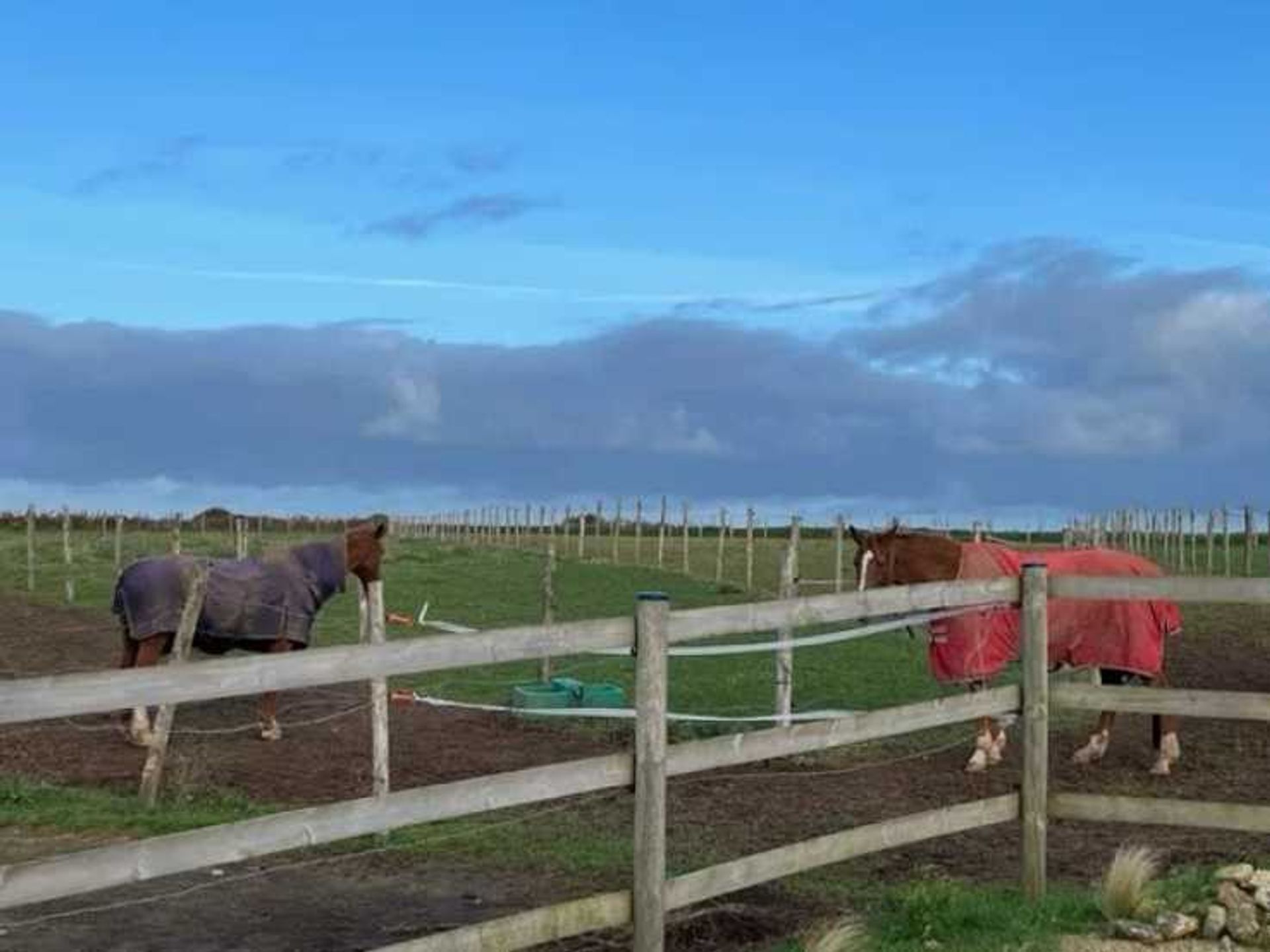 loger dans Treflez, Bretagne 12445263