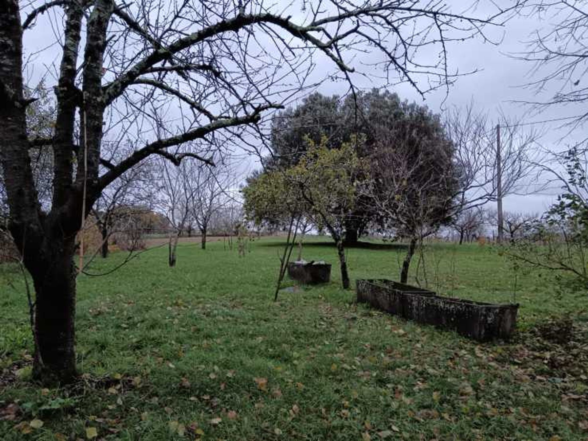 casa no Montignac-de-Lauzun, Nouvelle-Aquitaine 12445265