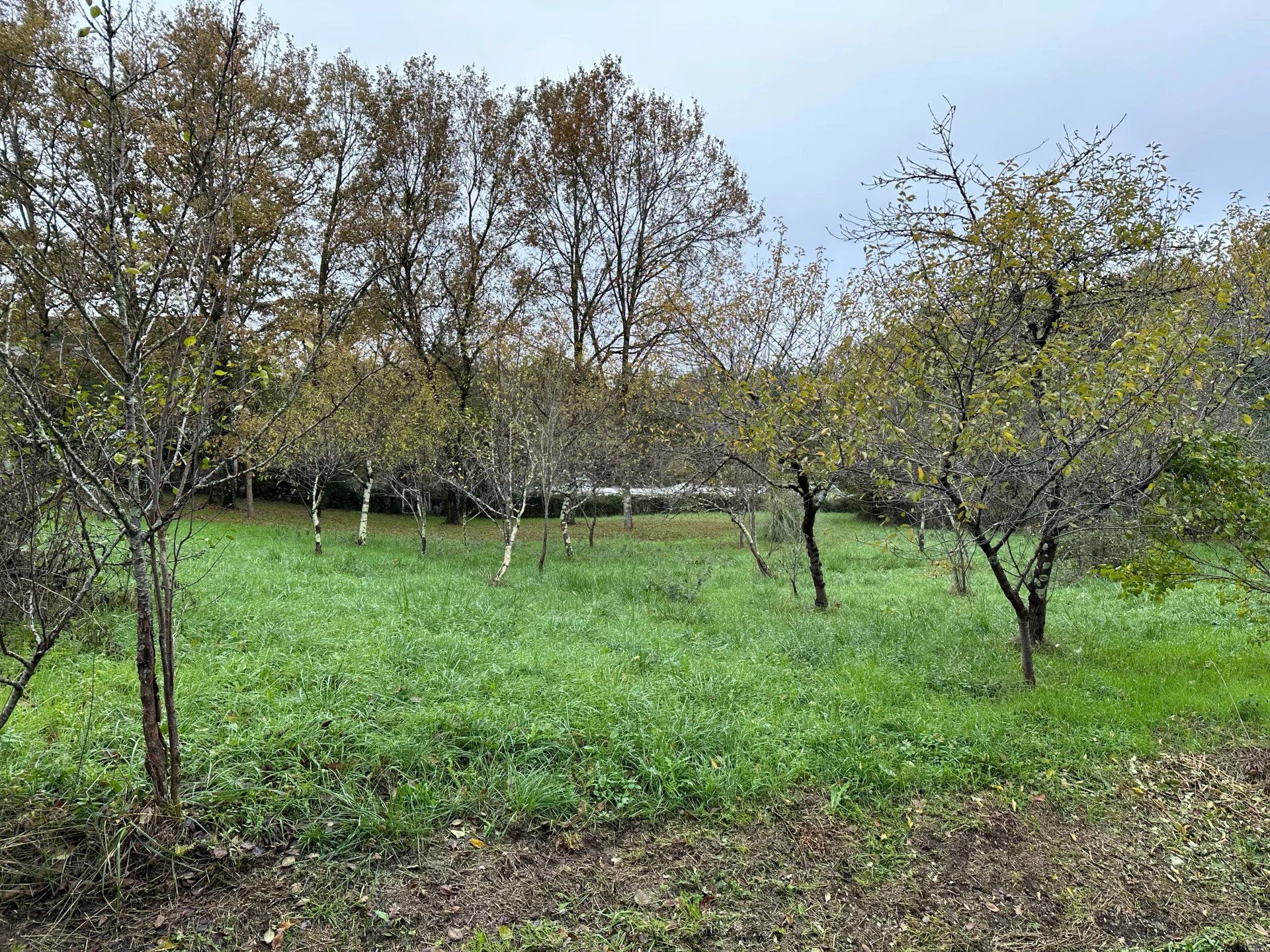 Tierra en Caso Vieille, San Andrés 12446008