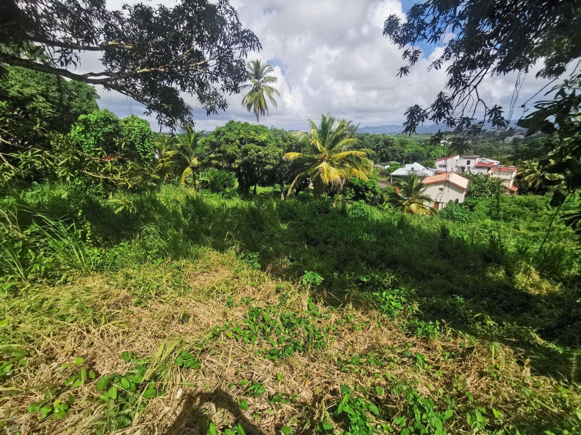 Muu sisään Cap Estate, Gros-Islet 12446824