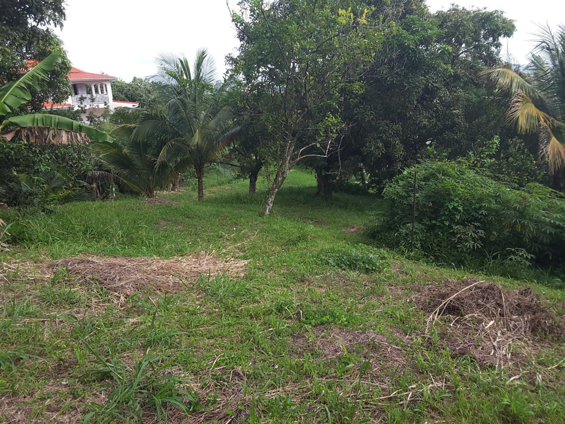 Muu sisään Cap Estate, Gros-Islet 12446824